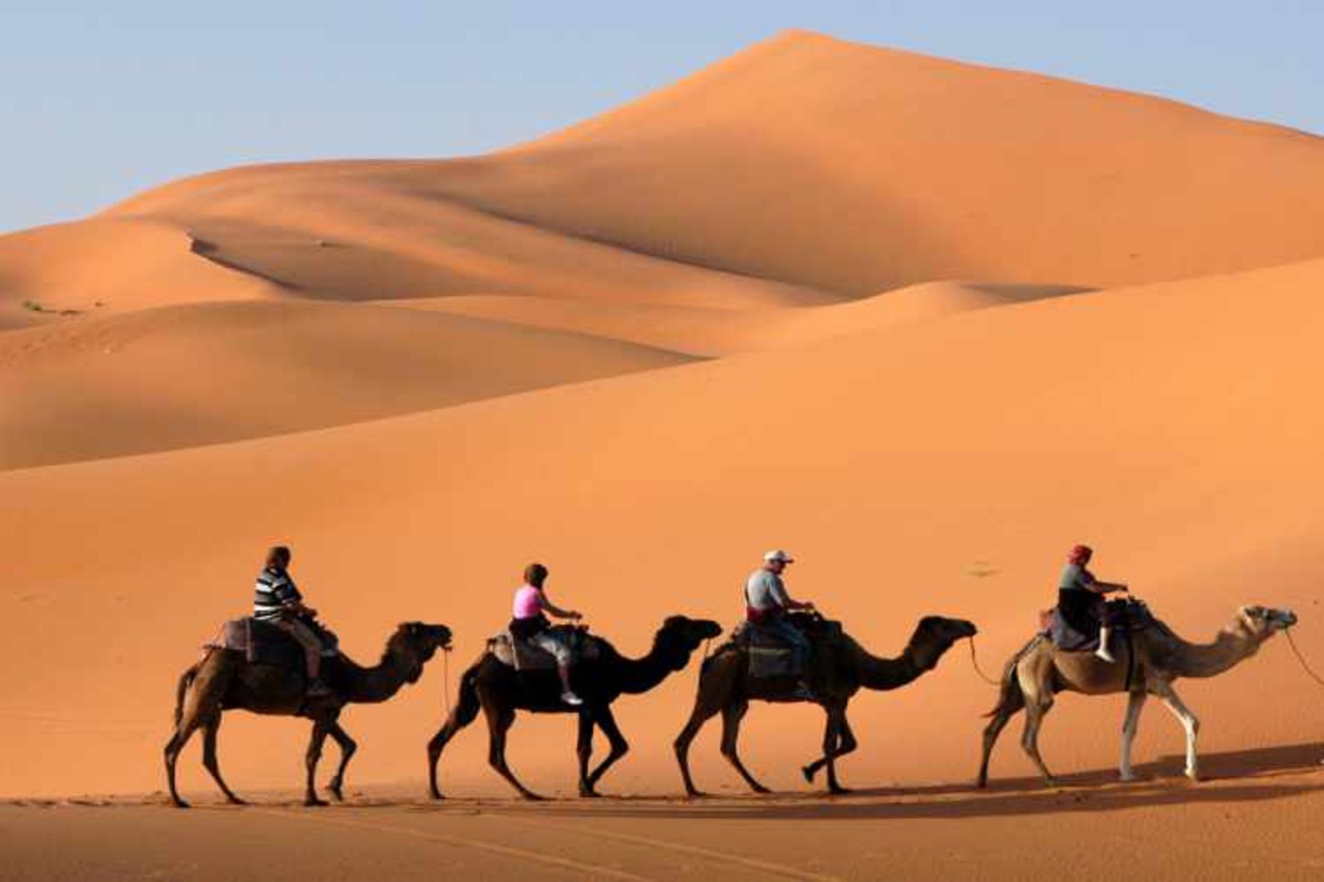 مصر