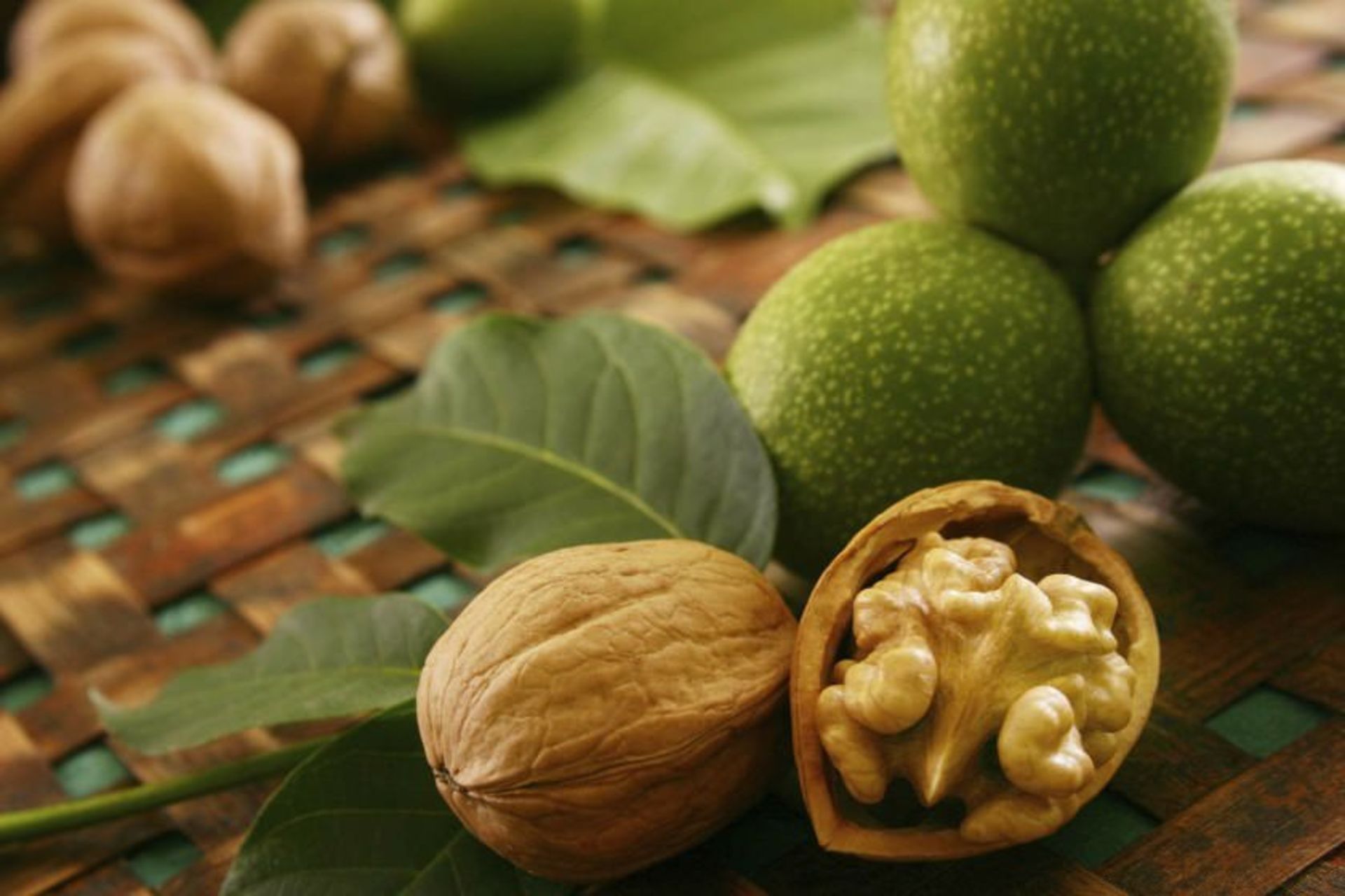 سوغات کهگیلویه و بویراحمد