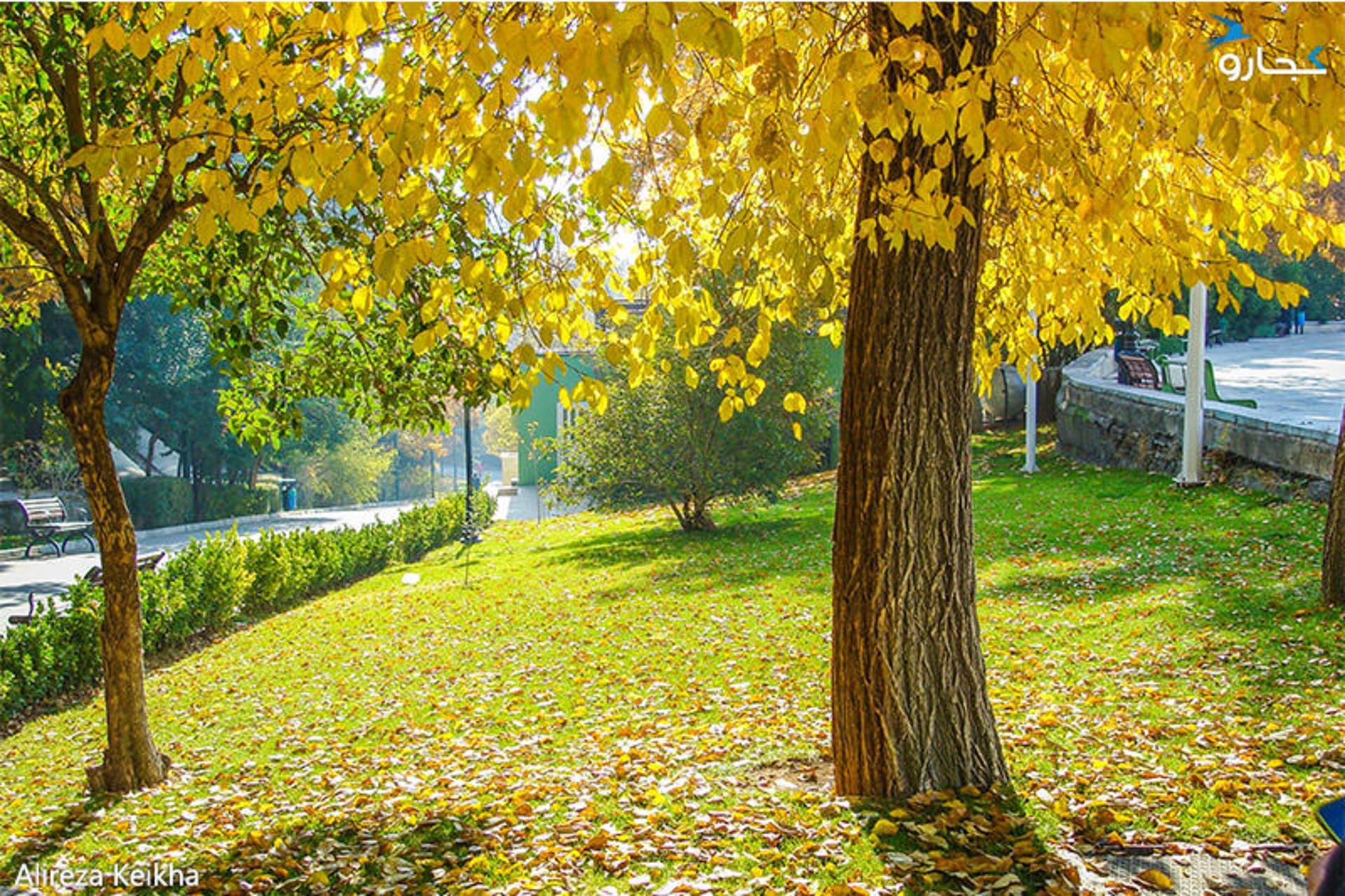 پارک های خیابان ولیعصر