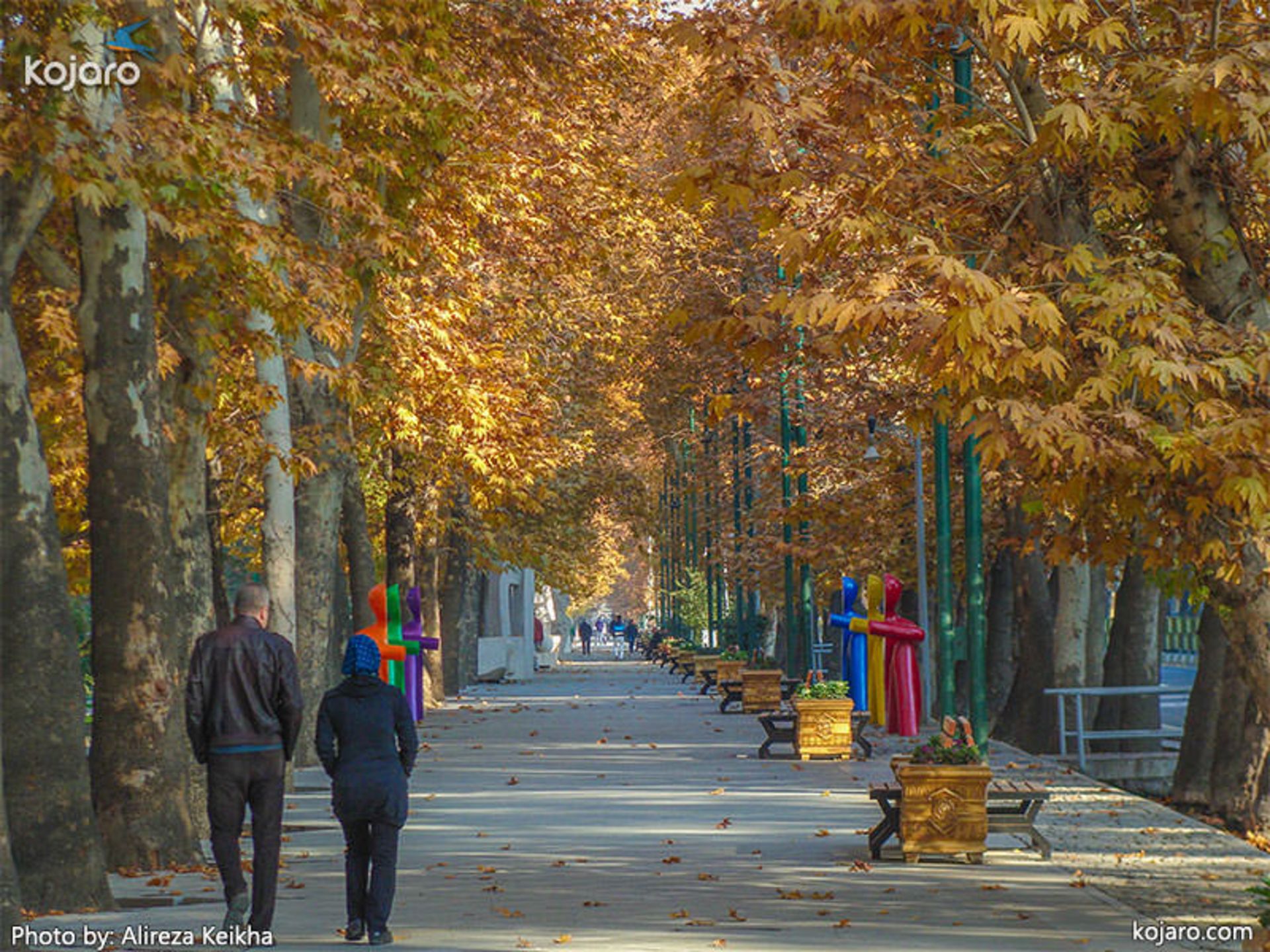 عکاسی در  پاییز - تهران