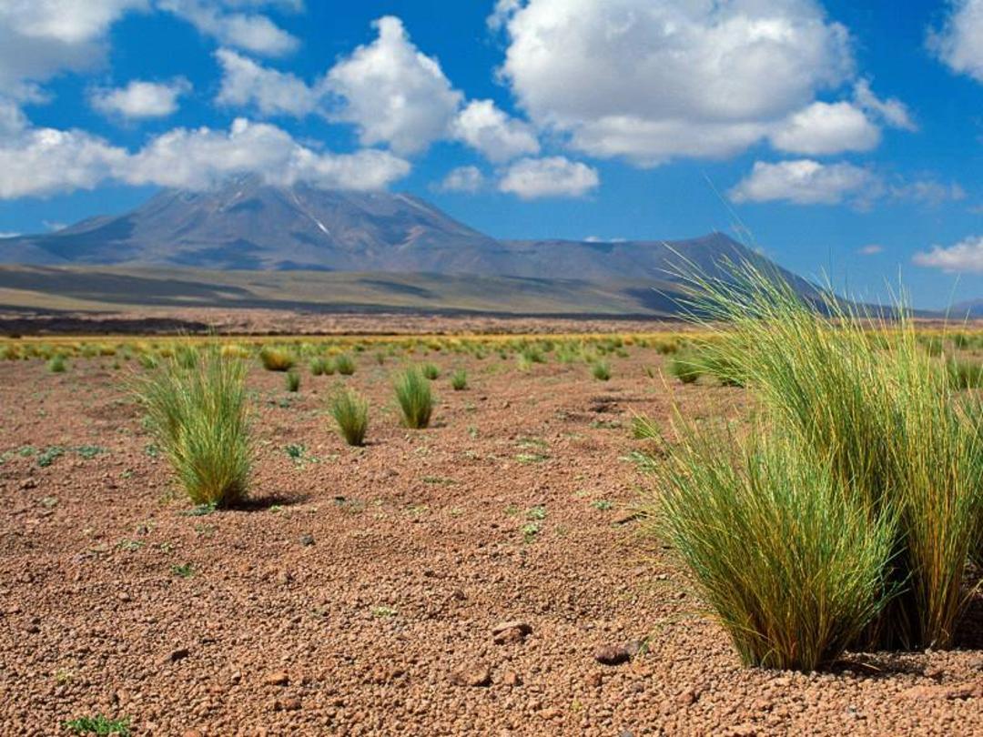 بیابان آتاکاما