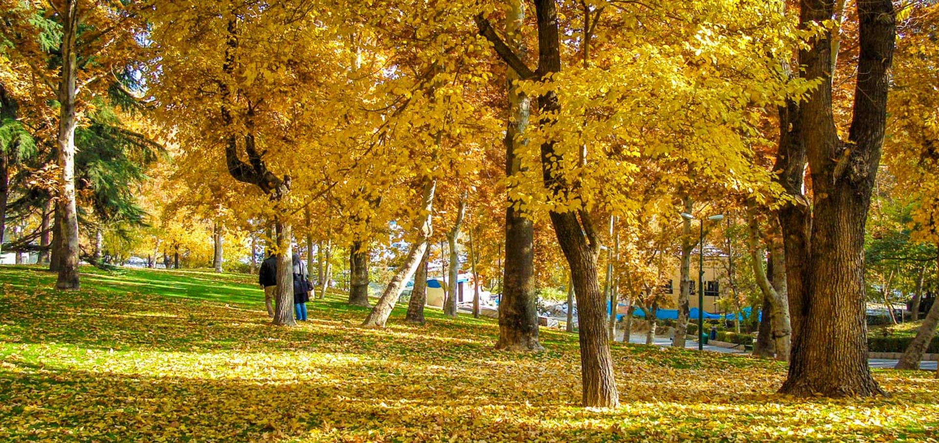 عکاسی در پاییز - تهران 
