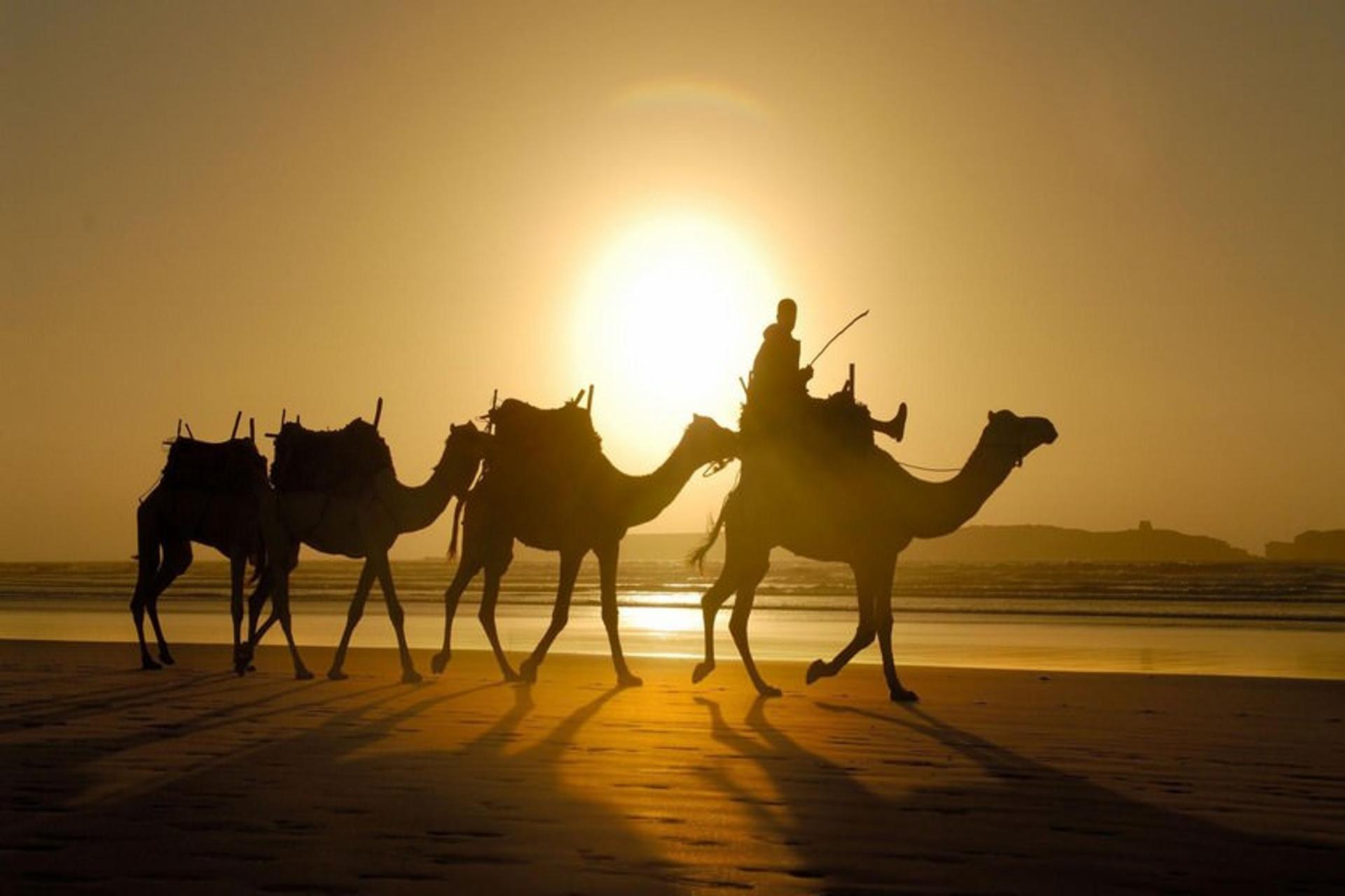 مراکش
