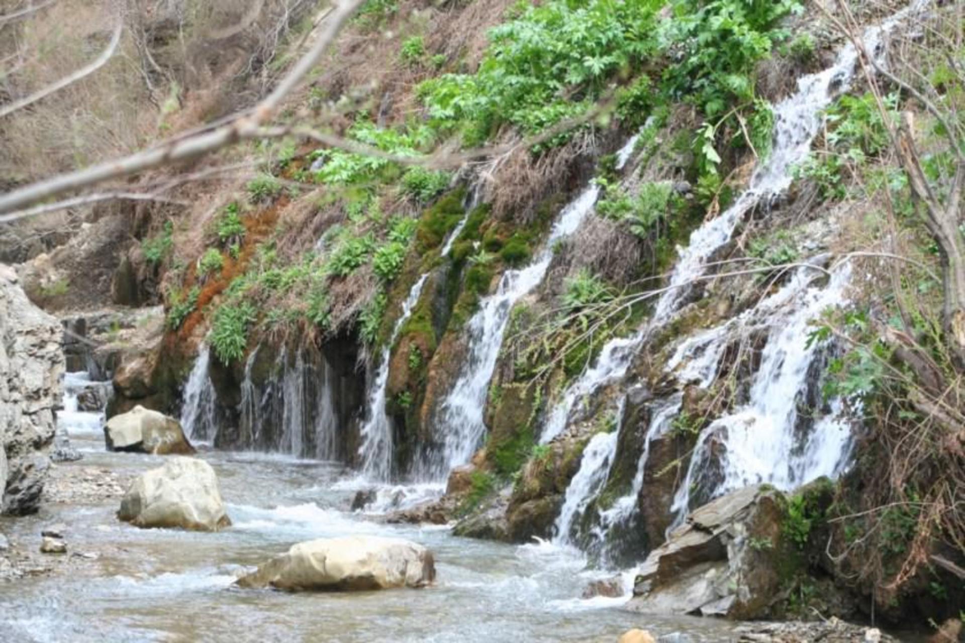 ارنگه