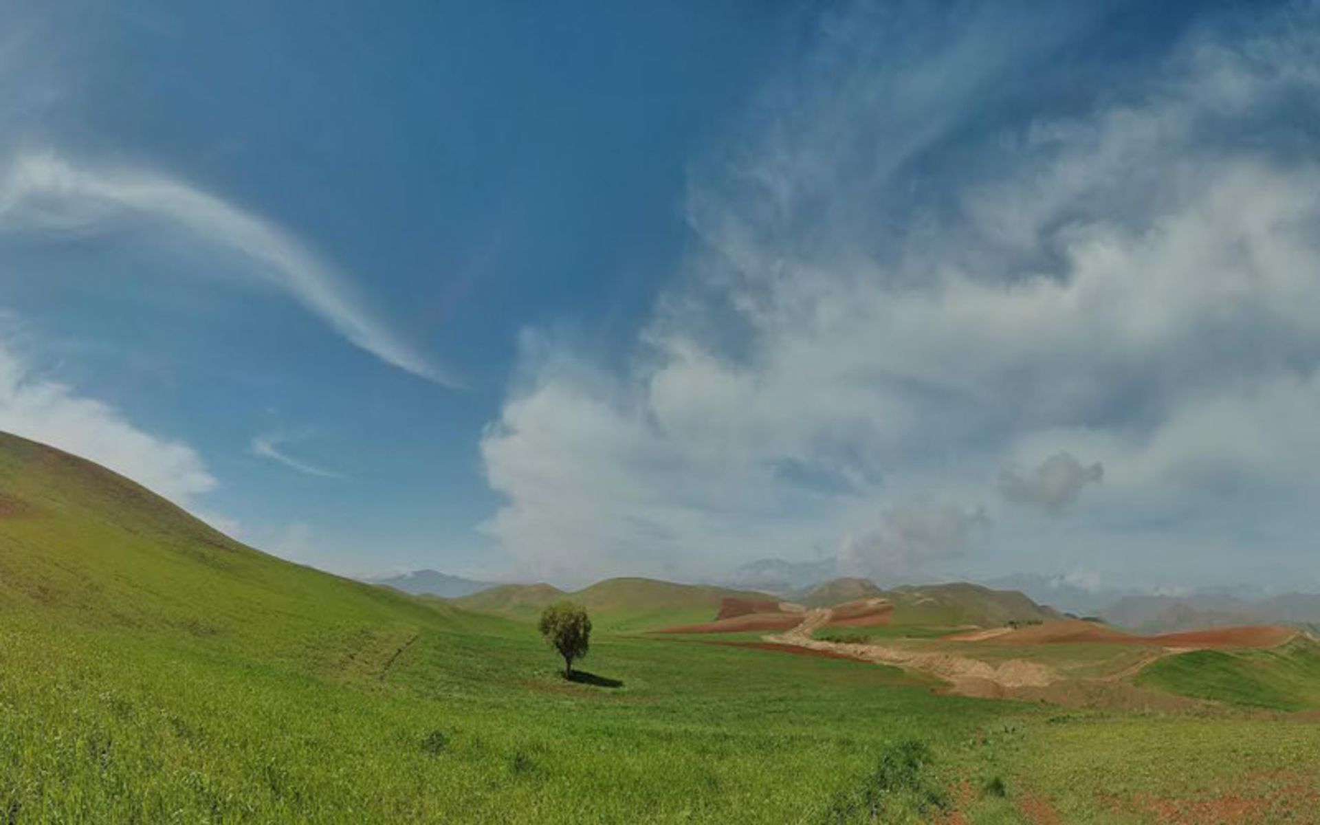 عکاسباشی