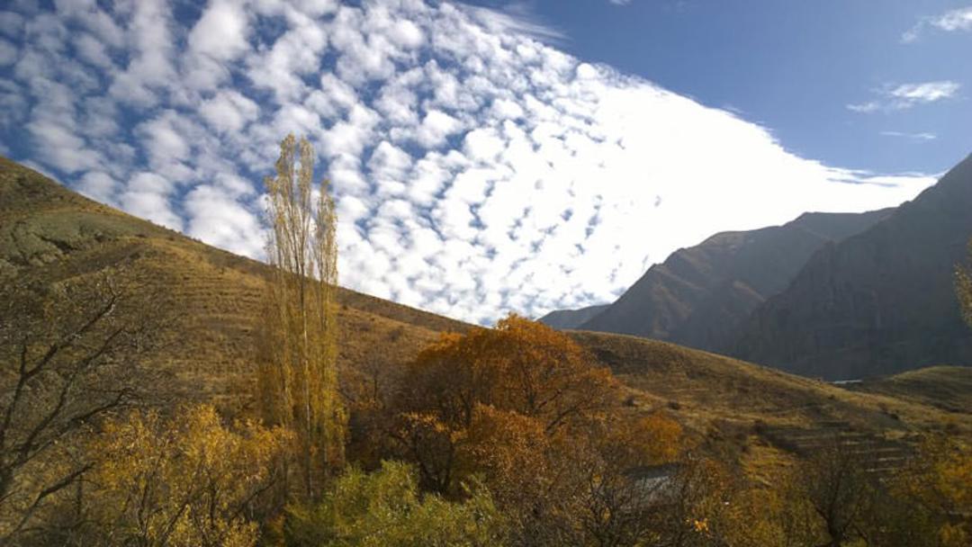 عکاسباشی