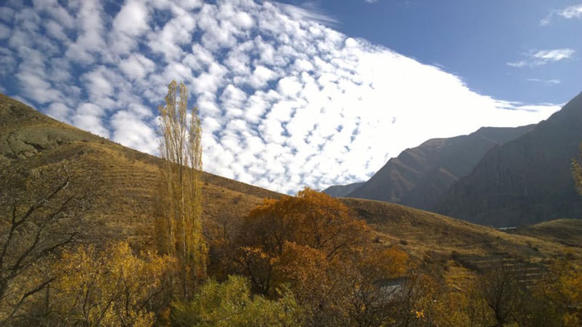 عکاسباشی