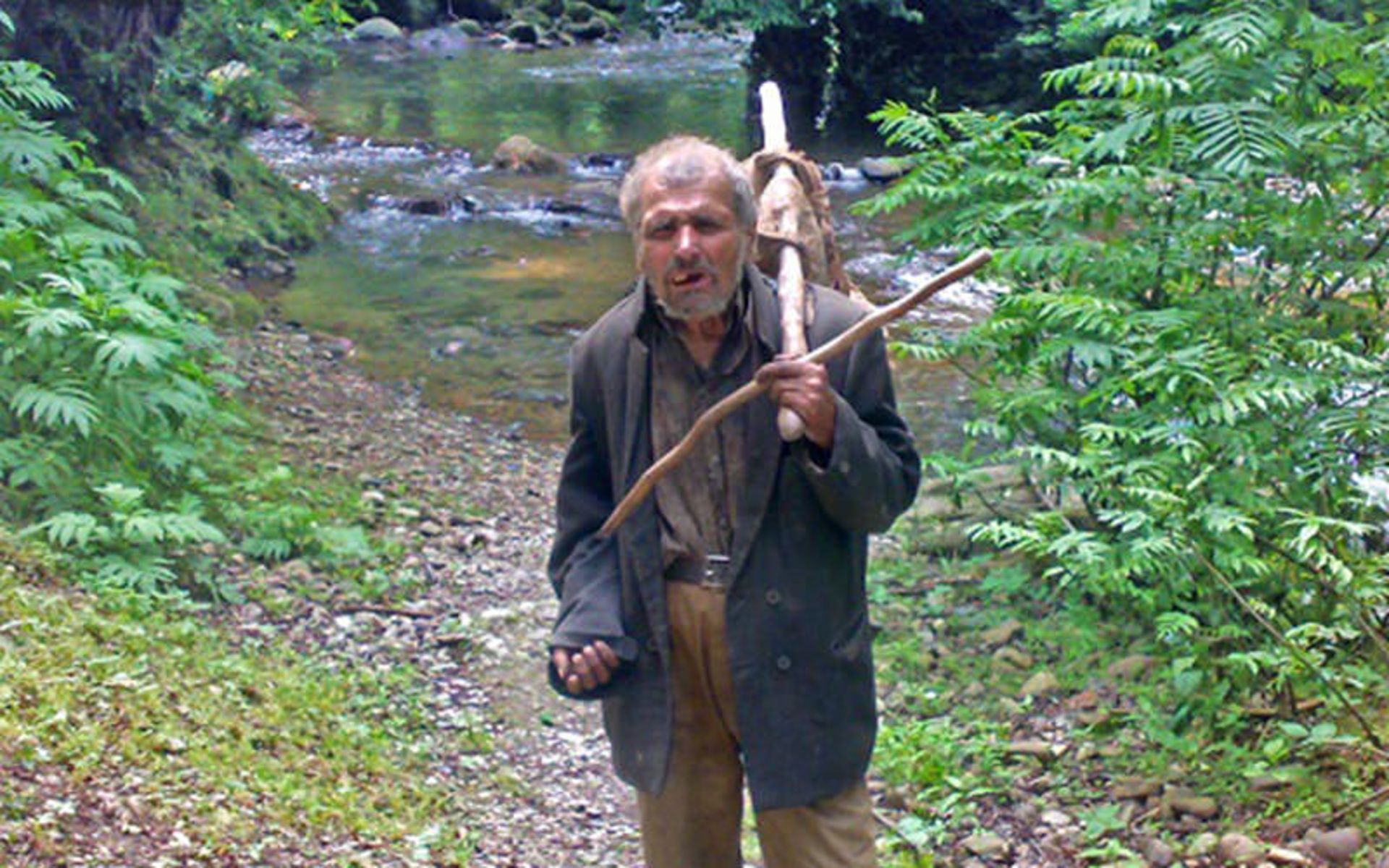 عزیز جنگلی