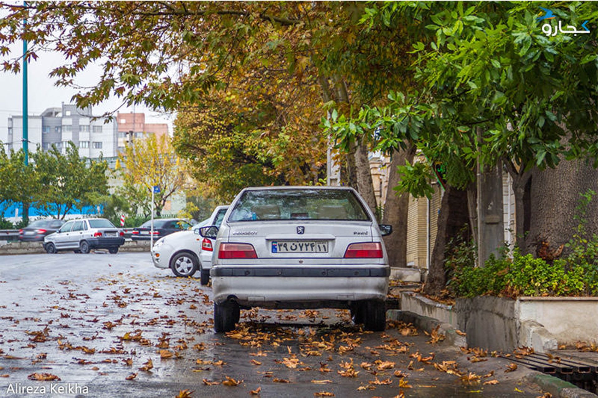 برف پاییزی در تهران