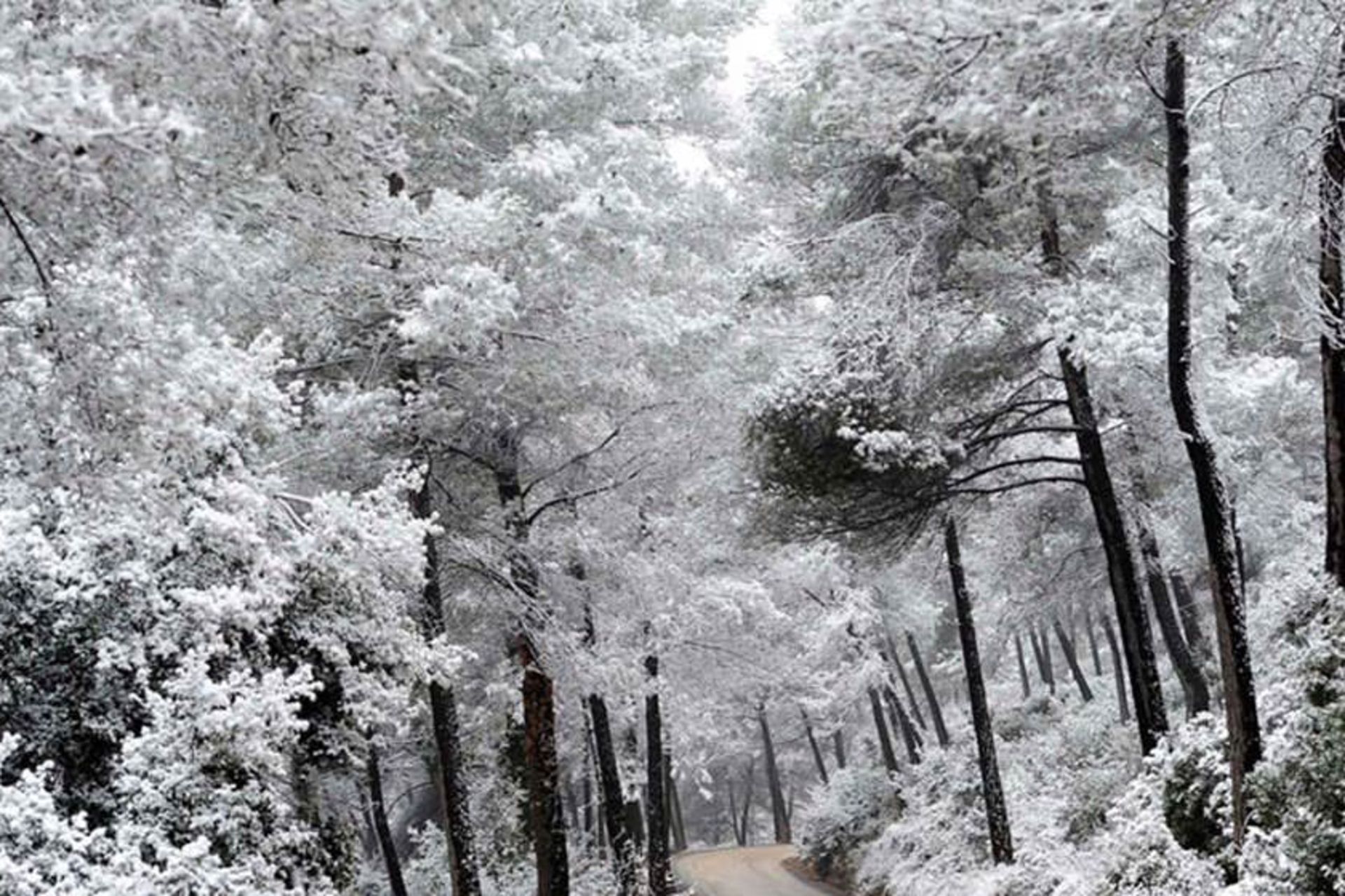علت سرمای هوا در پاییز