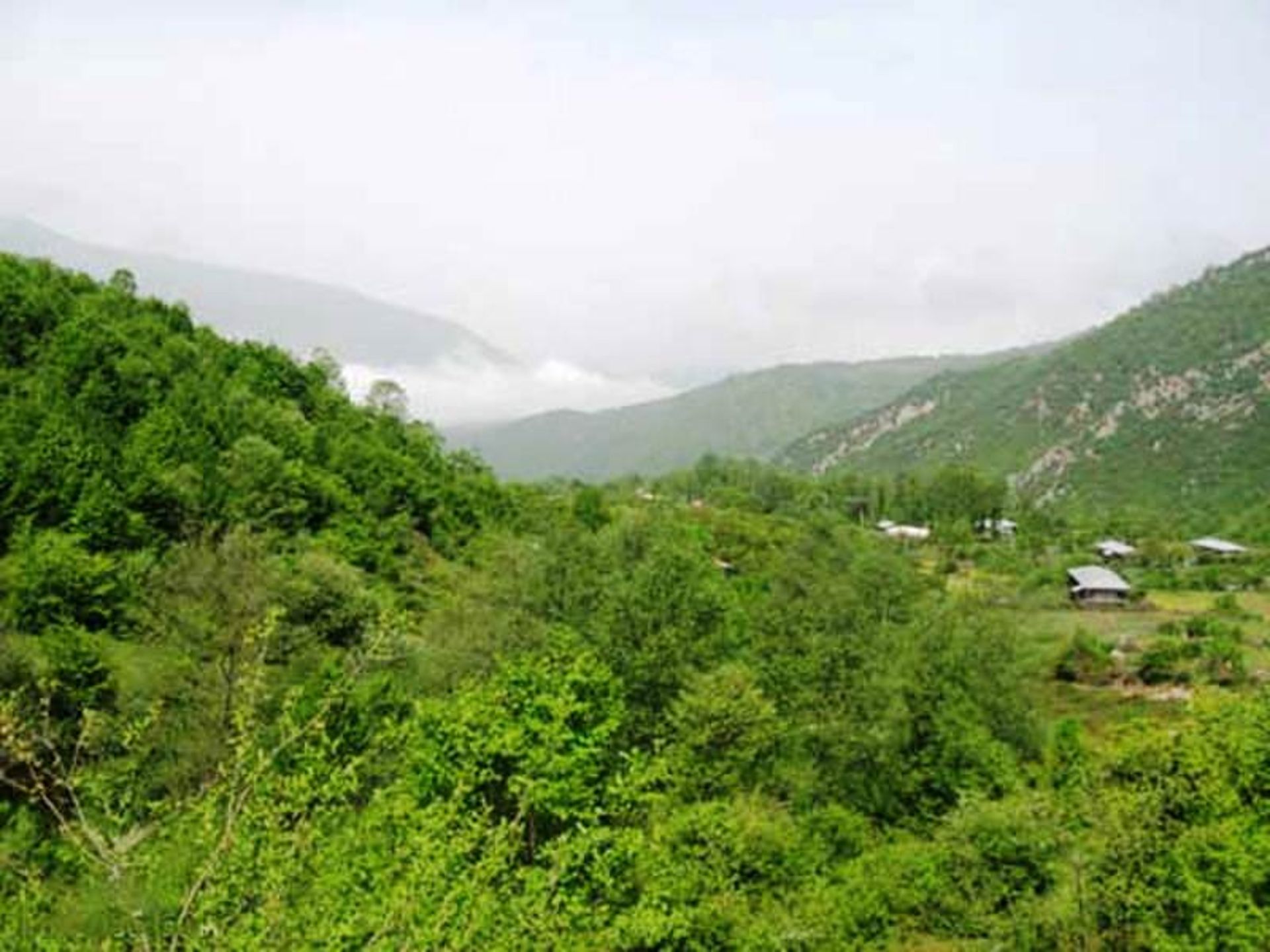 منطقه شکار ممنوع چلچلی