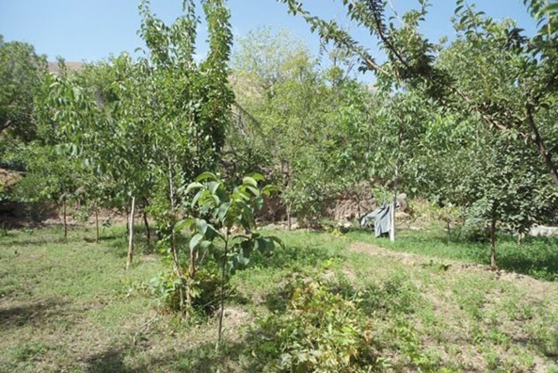 روستای سنو
