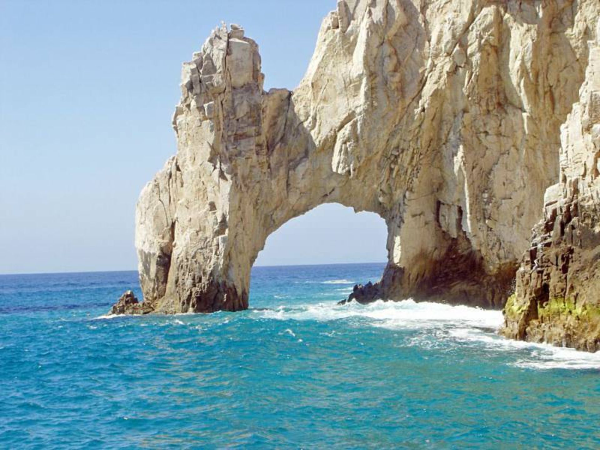 دریای کورتز