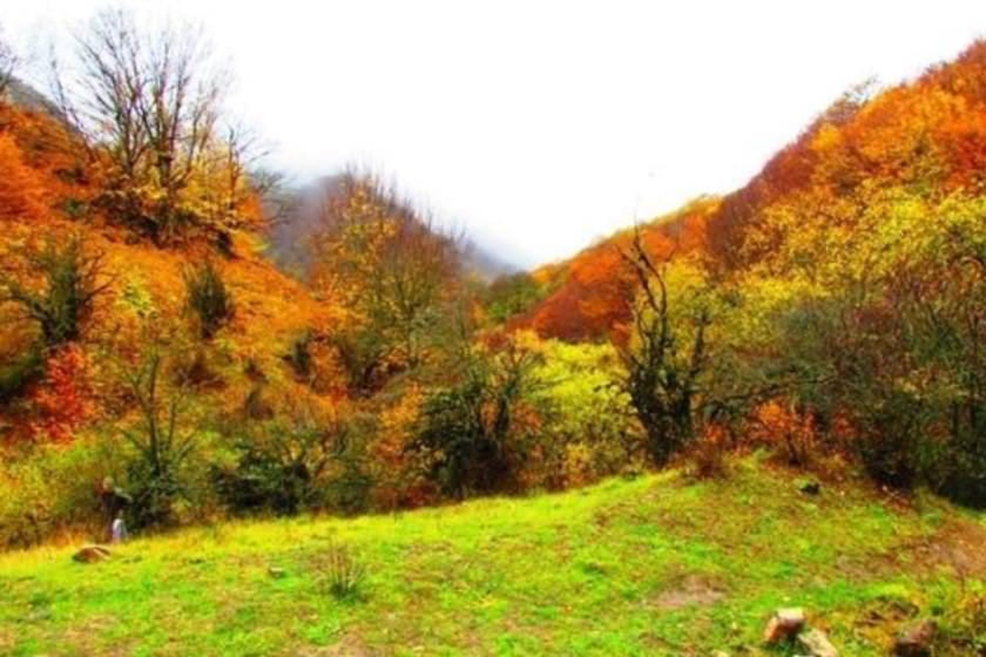 توسکستان