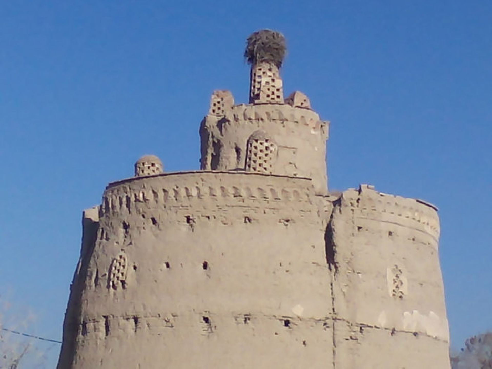 کبوتر خانه