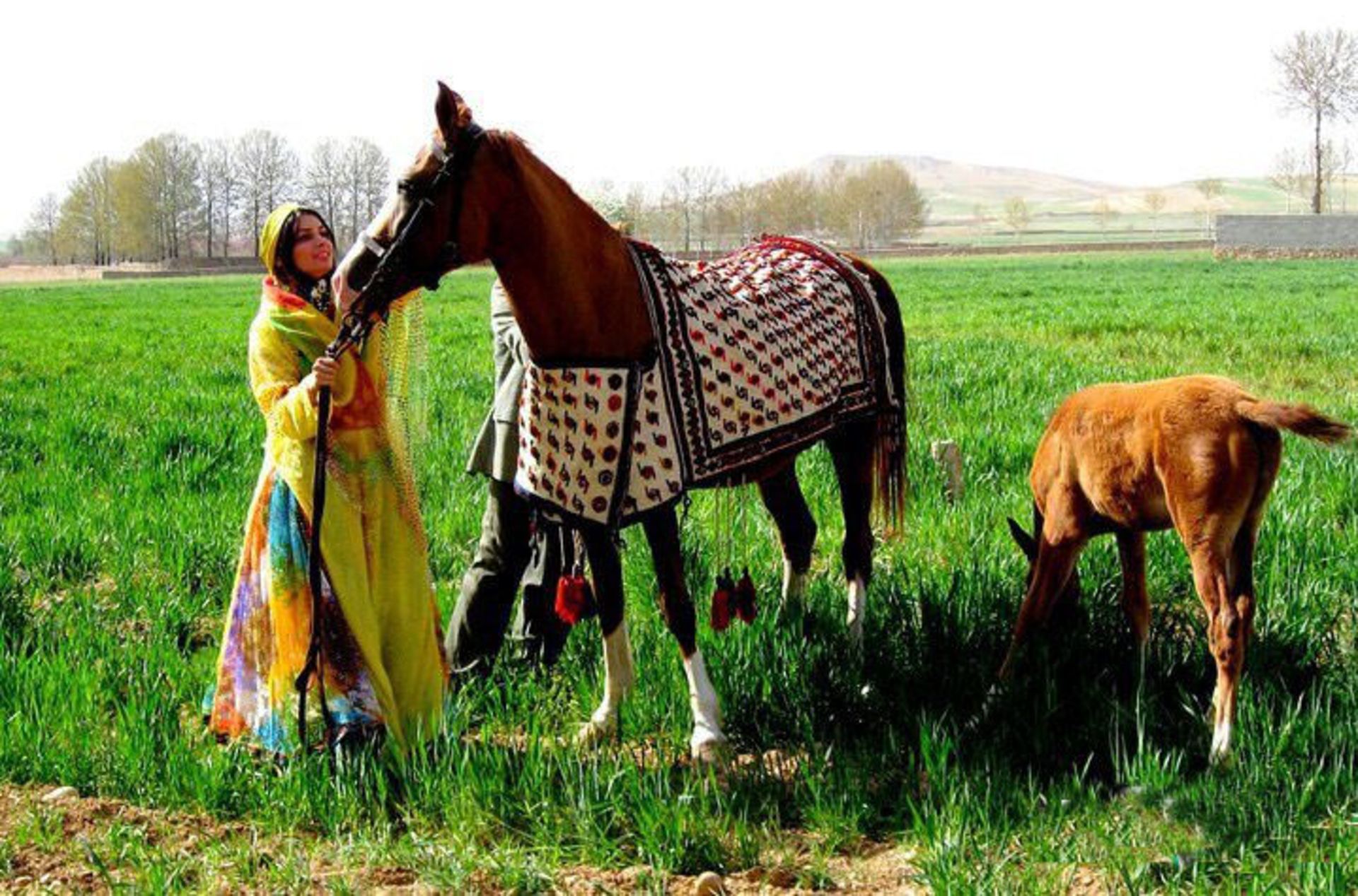 لباس قشقایی
