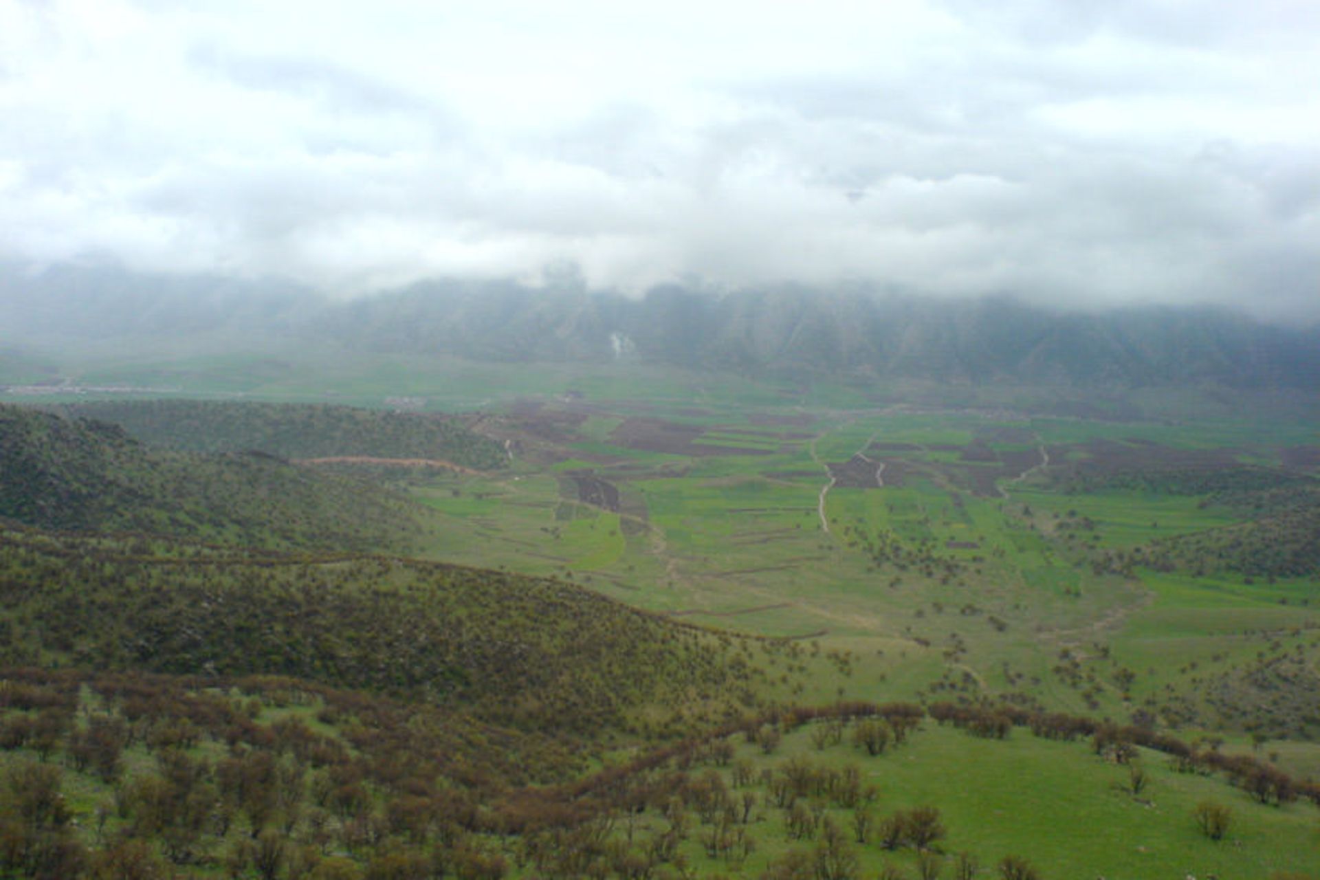 ایل کلهر
