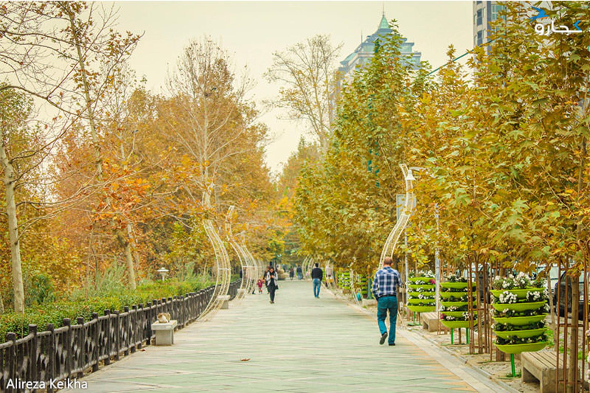 پارک های خیابان ولیعصر