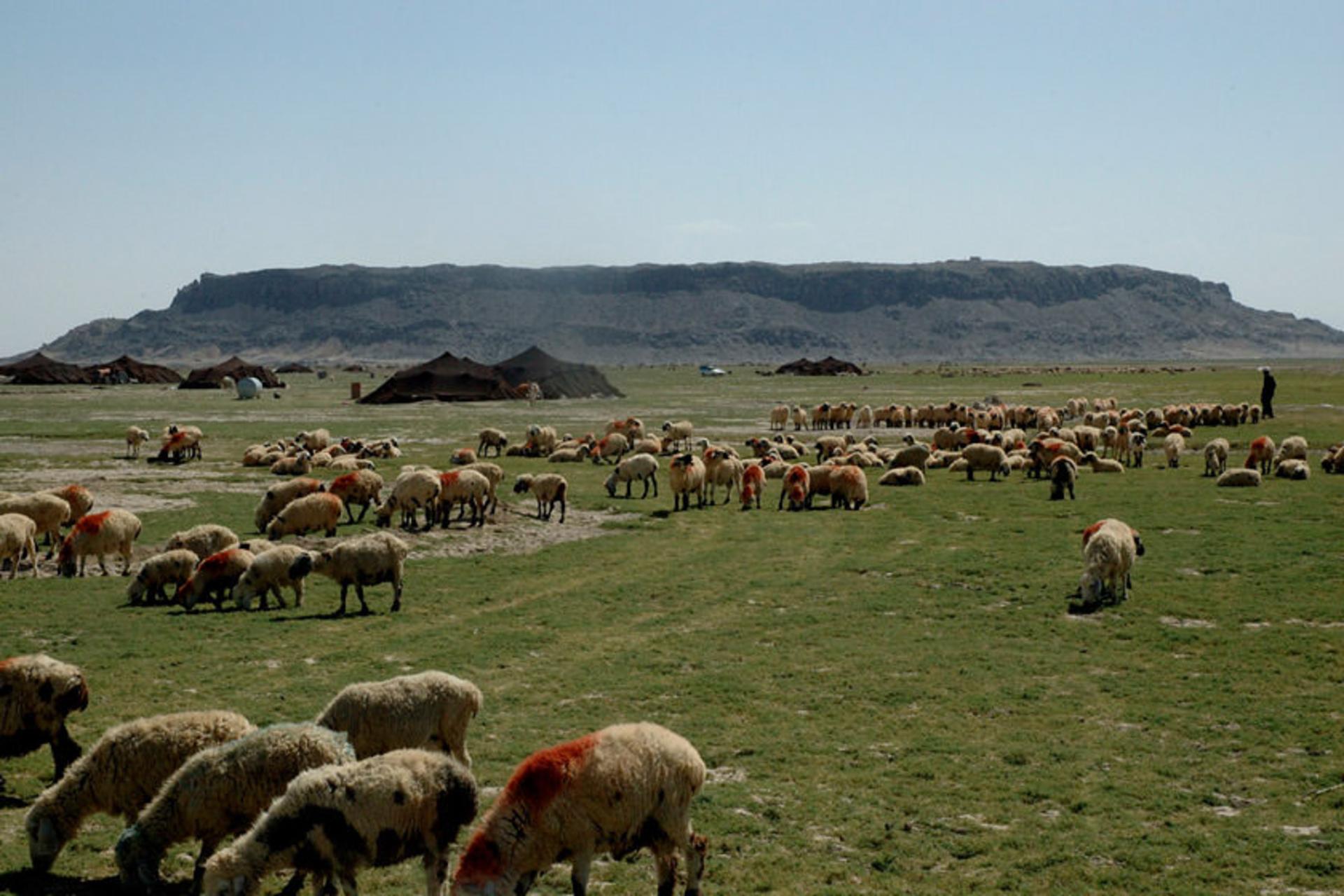 عشایر بلوچستان