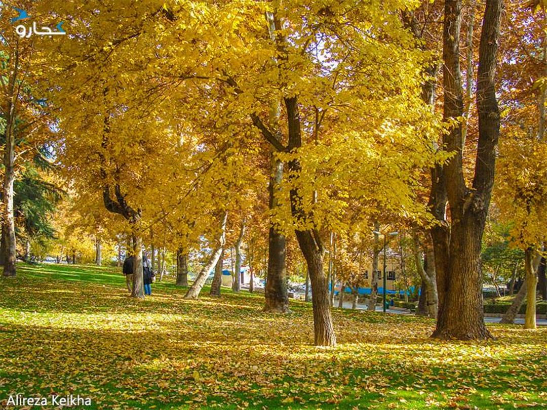 پارک های خیابان ولیعصر