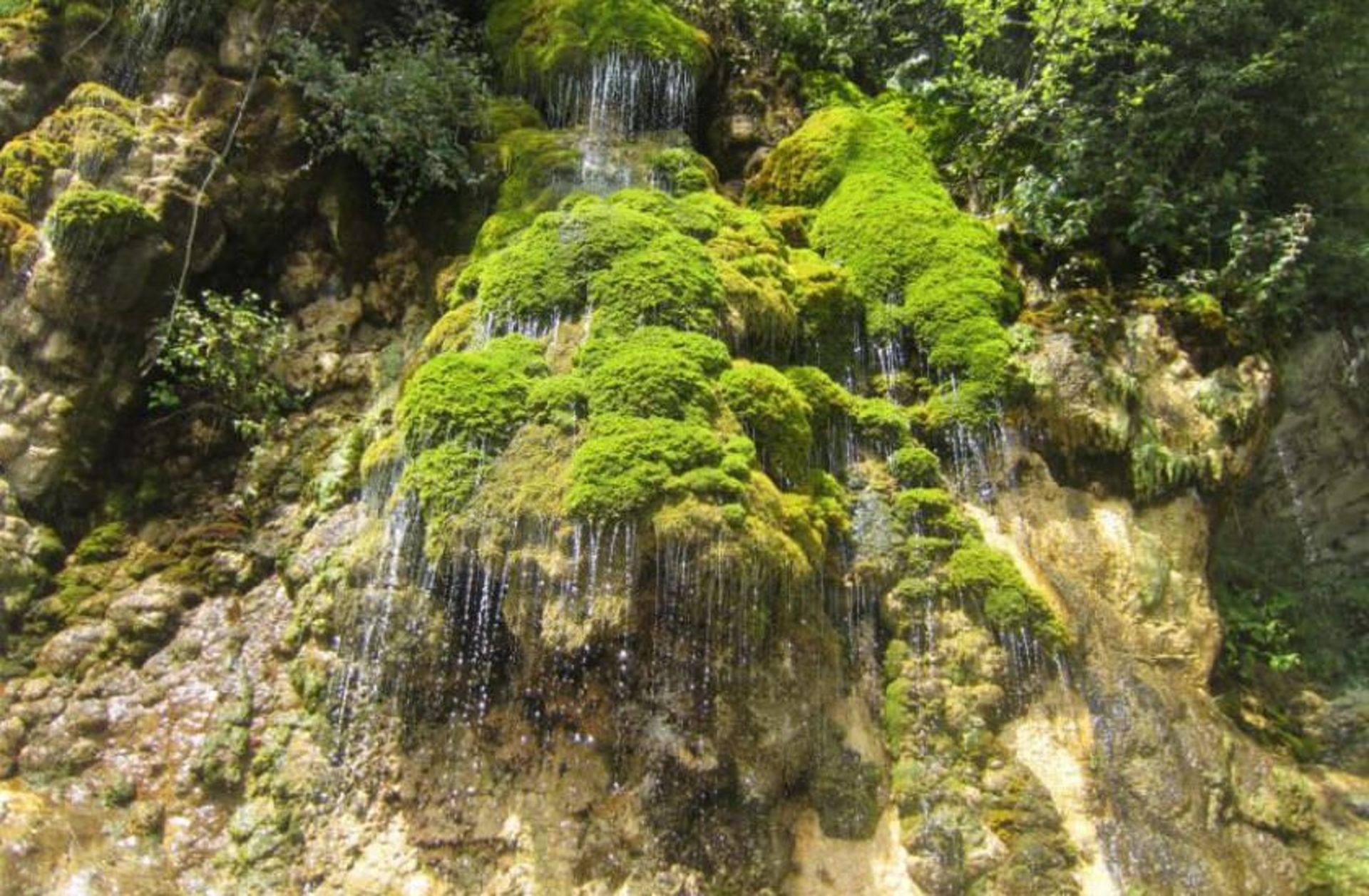 دیدنی های نور