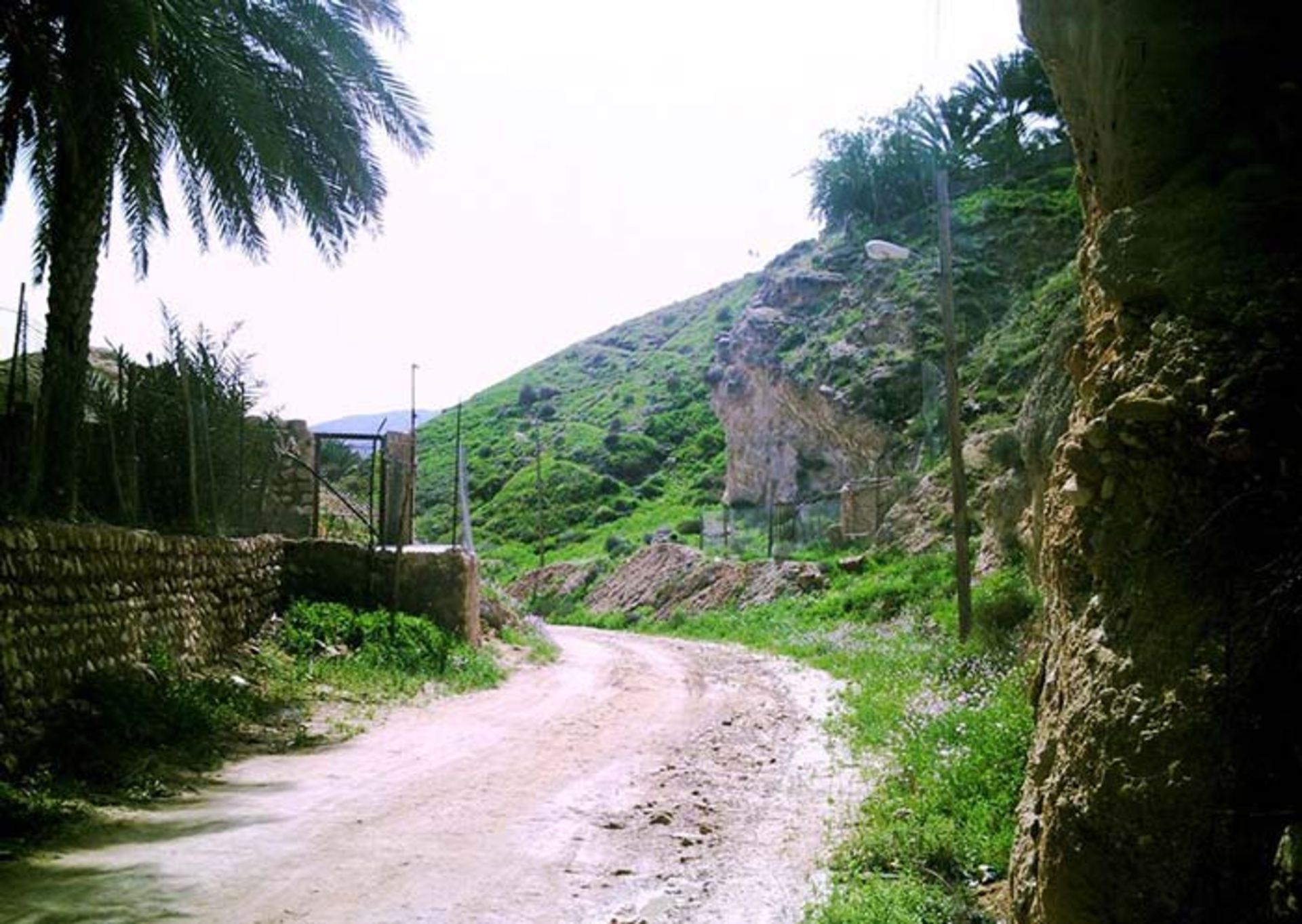 روستای کهتویه