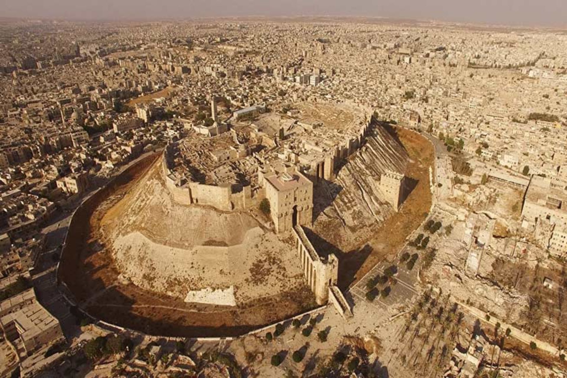 حلب