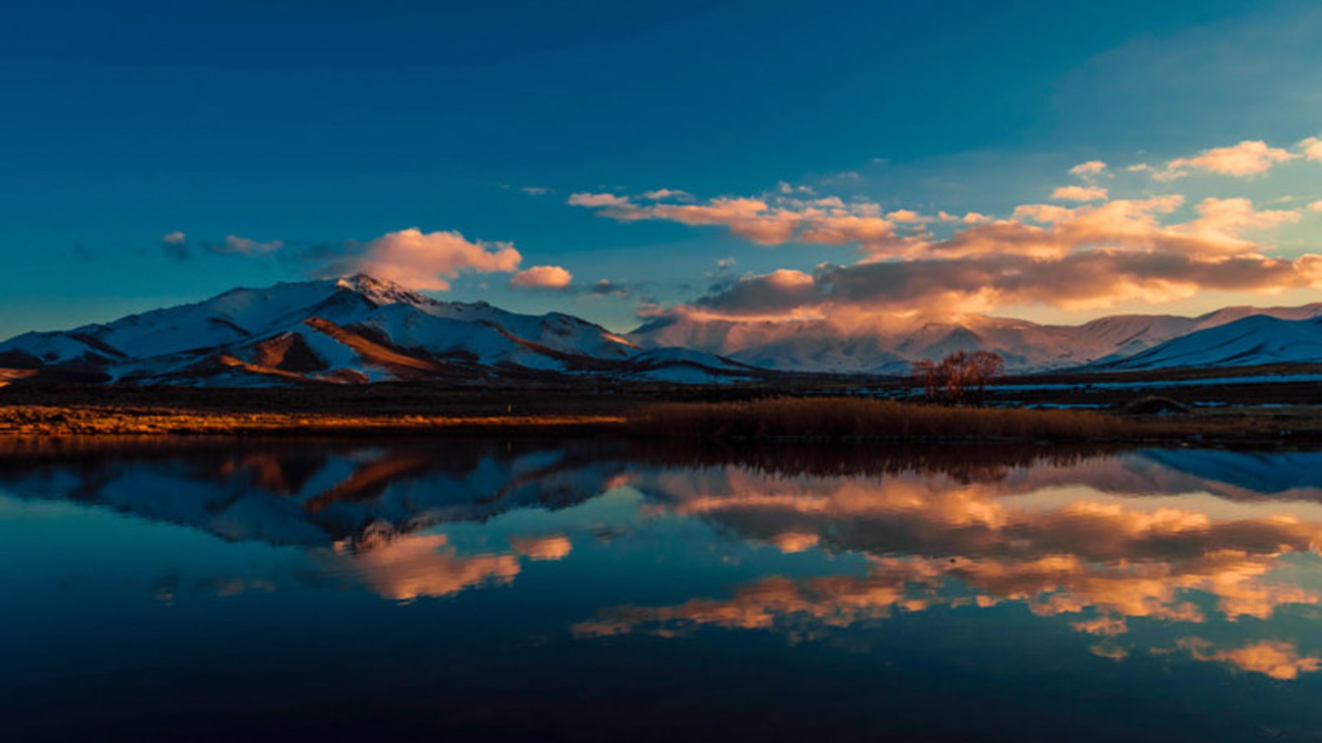 یلدای عکاسباشی