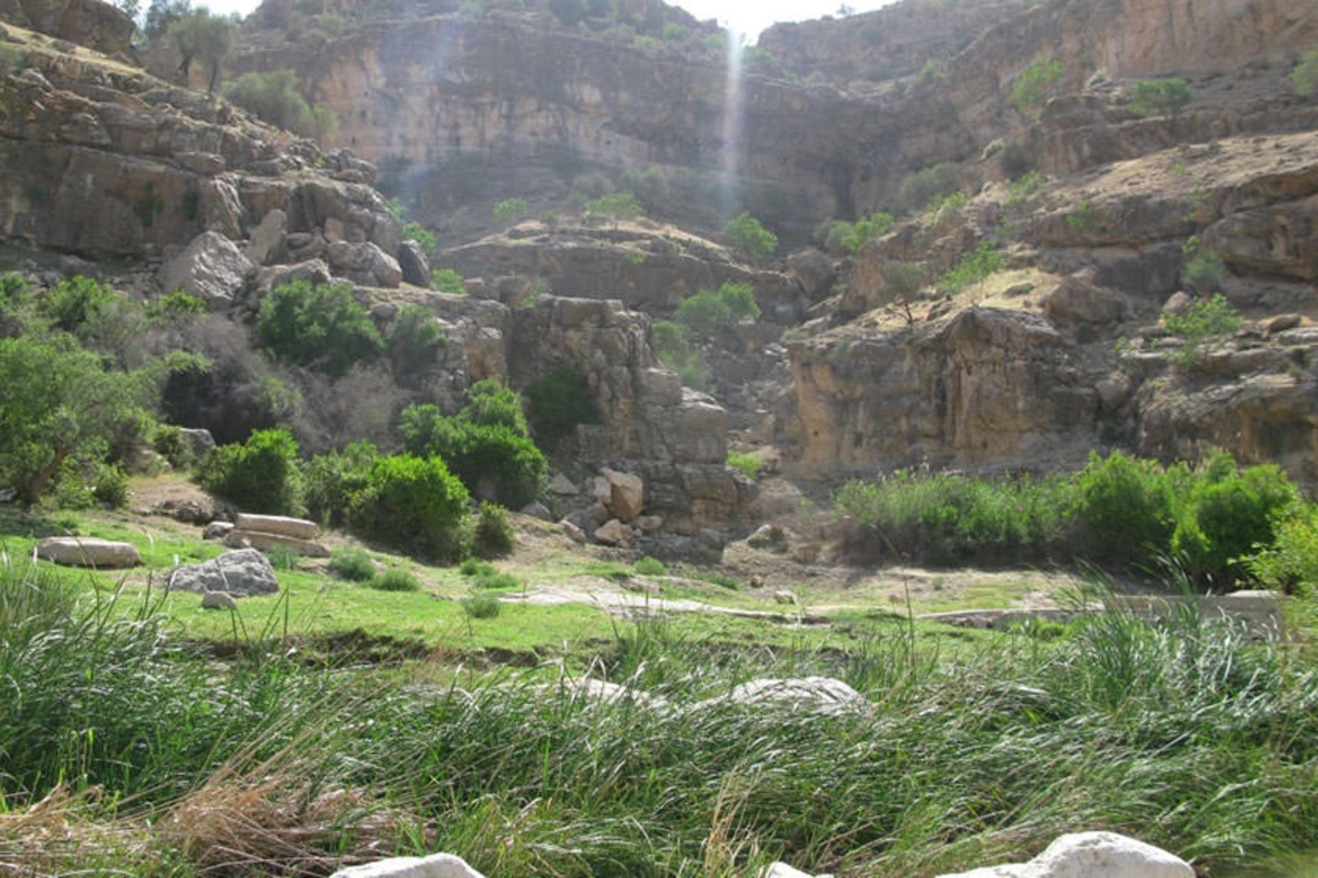 خانواده ای که نمی دانند پول چیست