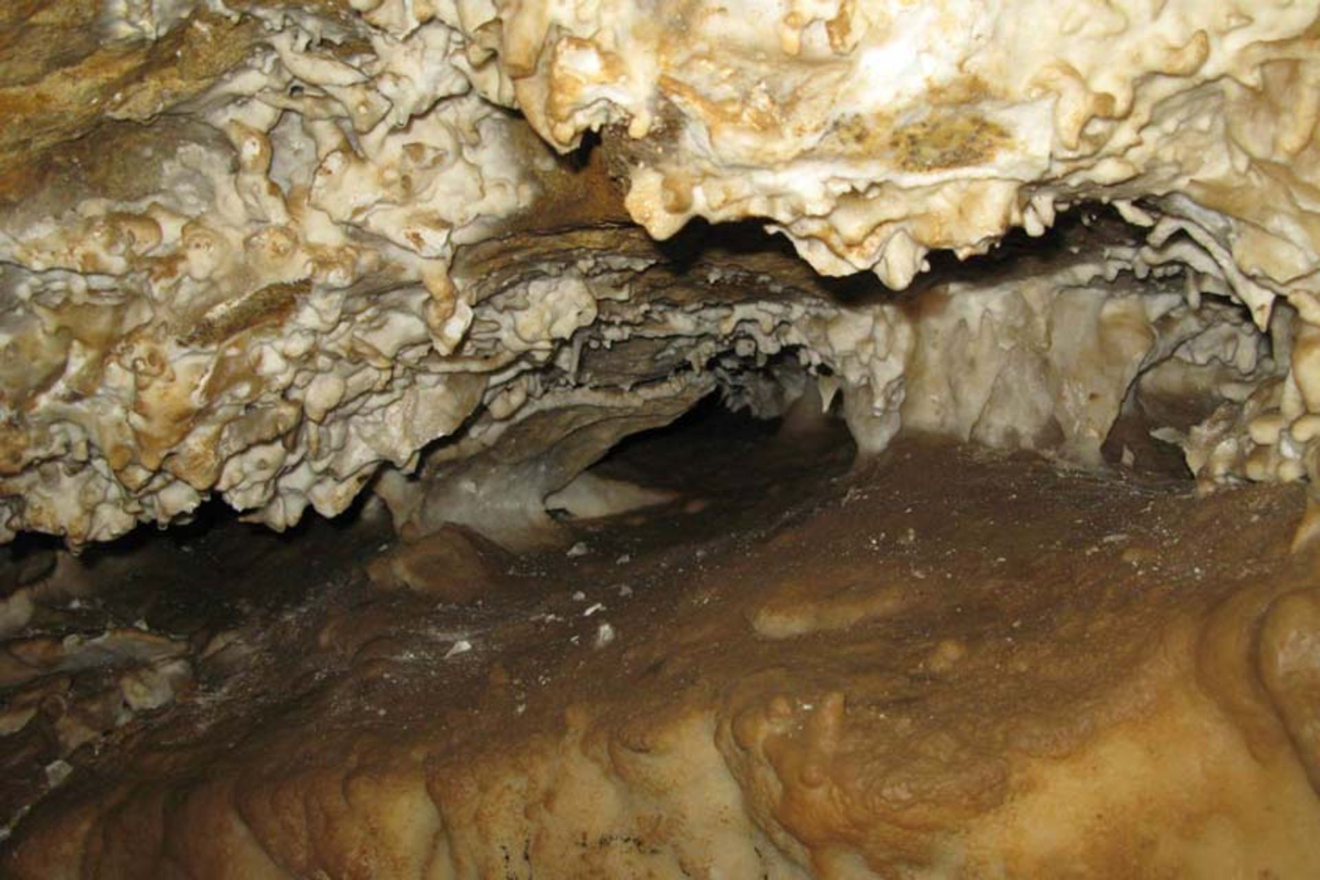 غارهای انجدان