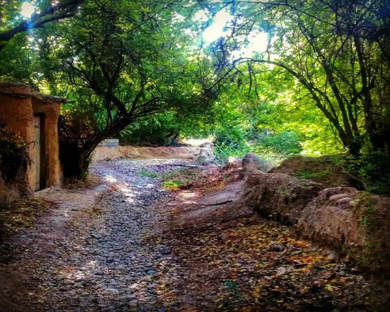عکاسباشی
