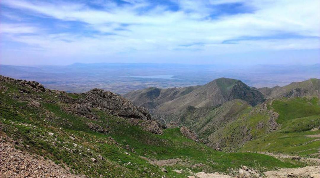 یلدای عکاسباشی