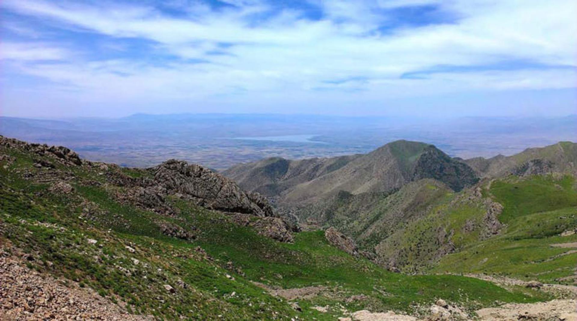 یلدای عکاسباشی