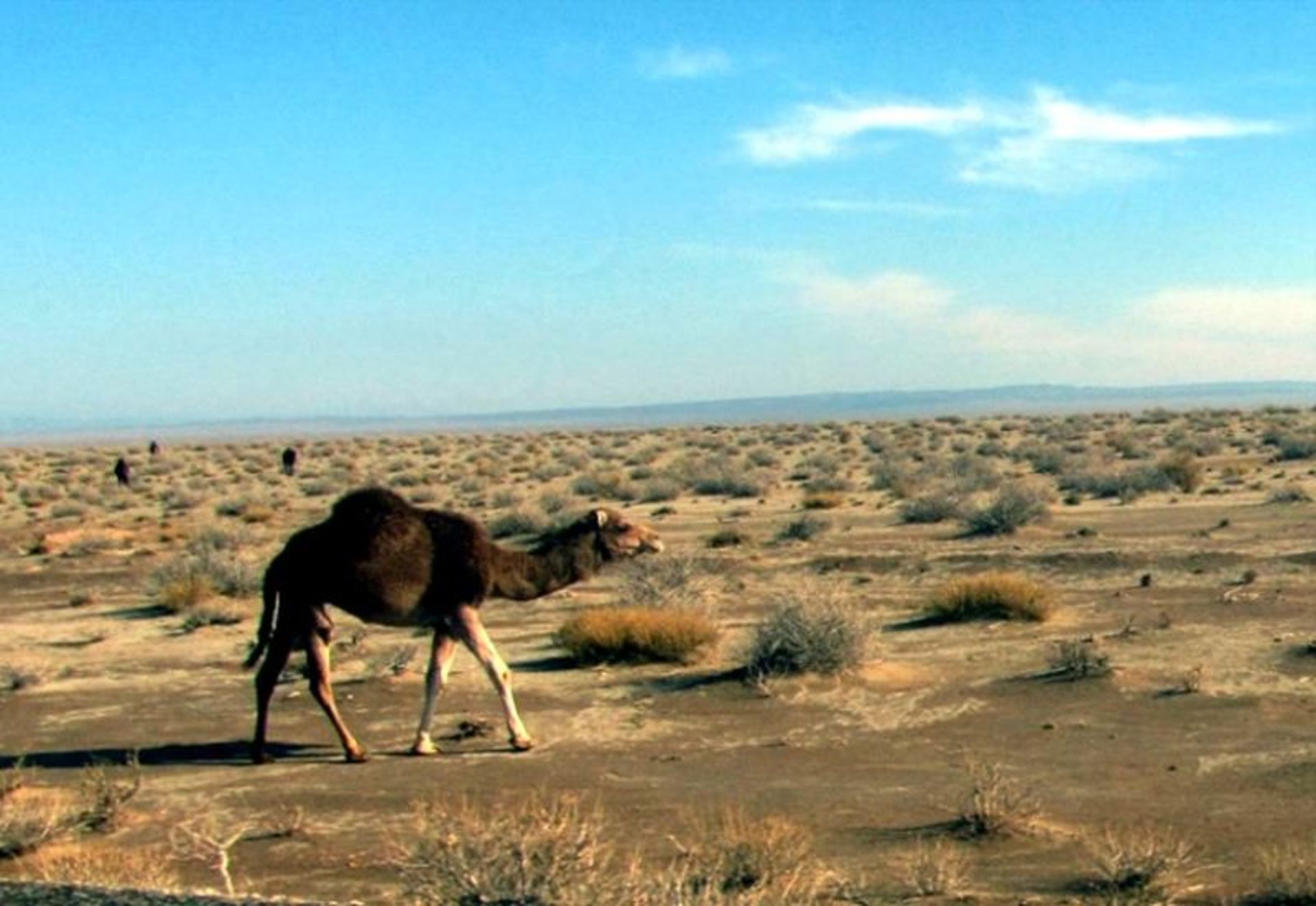 کویر جندق