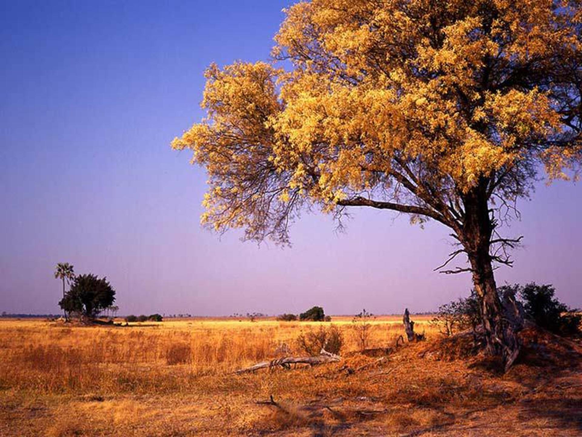 گردشگری ماجراجویانه