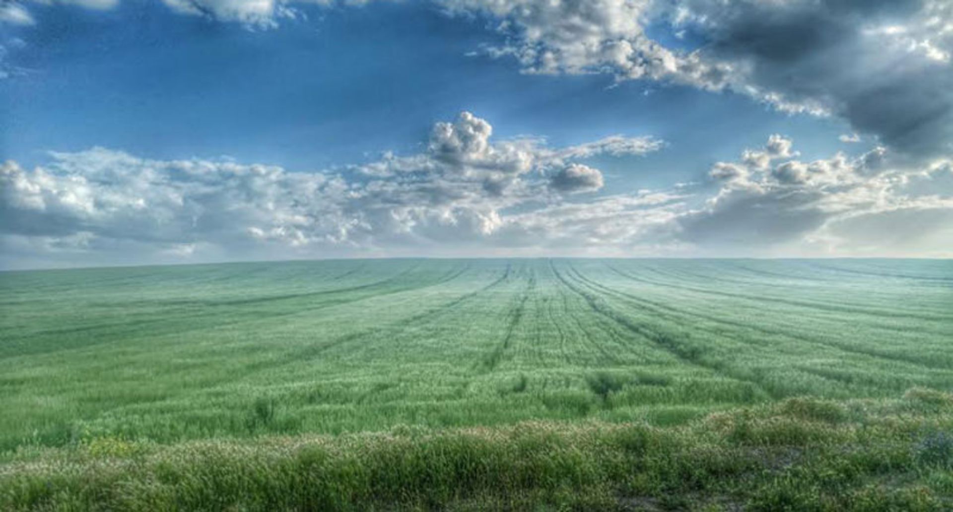 یلدای عکاسباشی