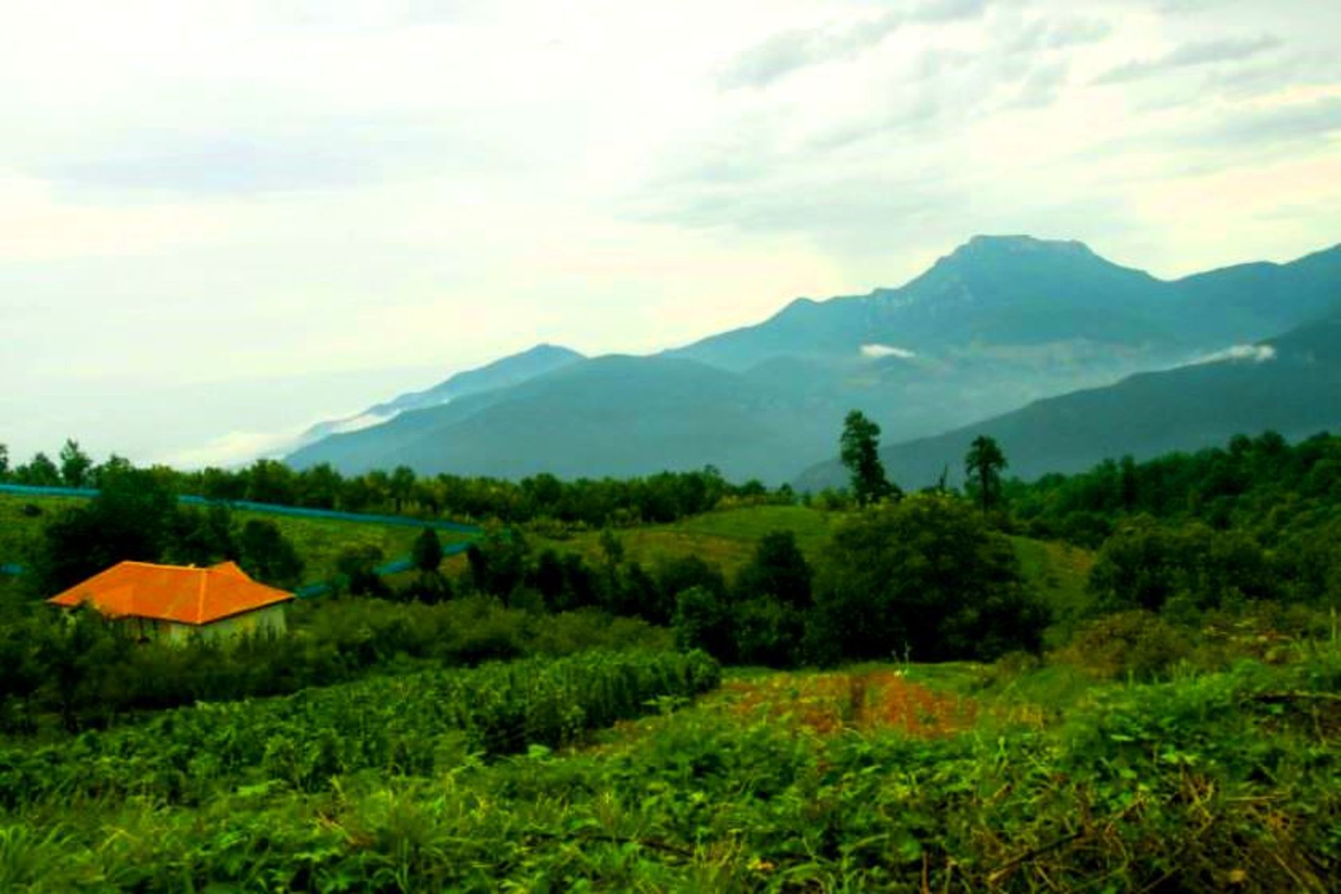 روستای افرا تخته