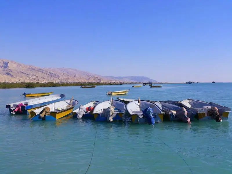 عکاسباشی