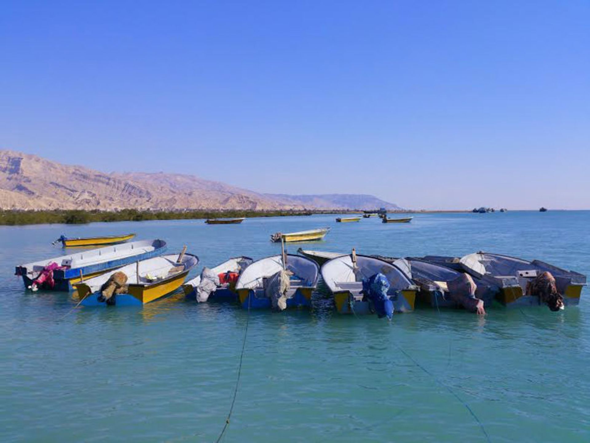 عکاسباشی
