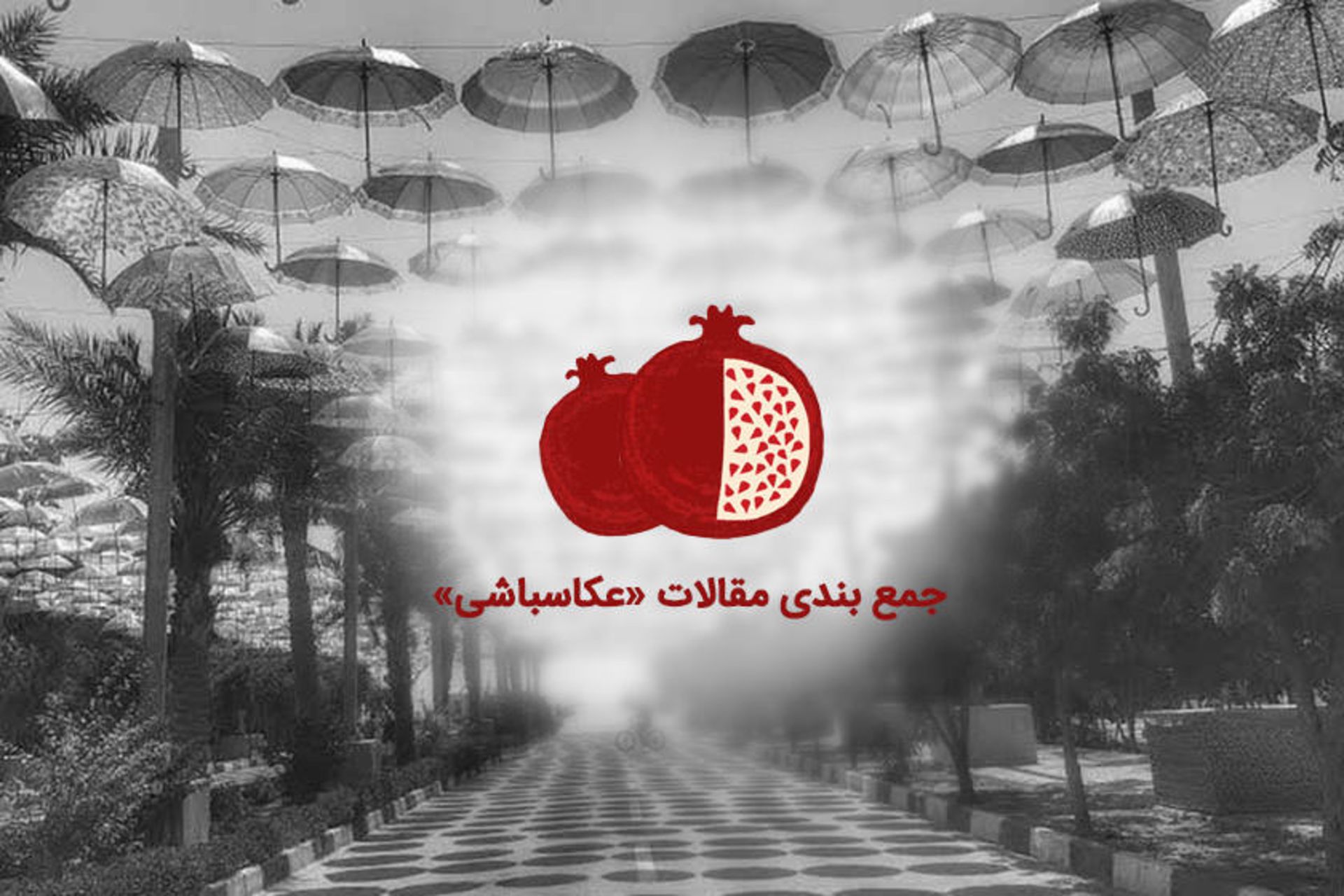 یلدای عکاسباشی