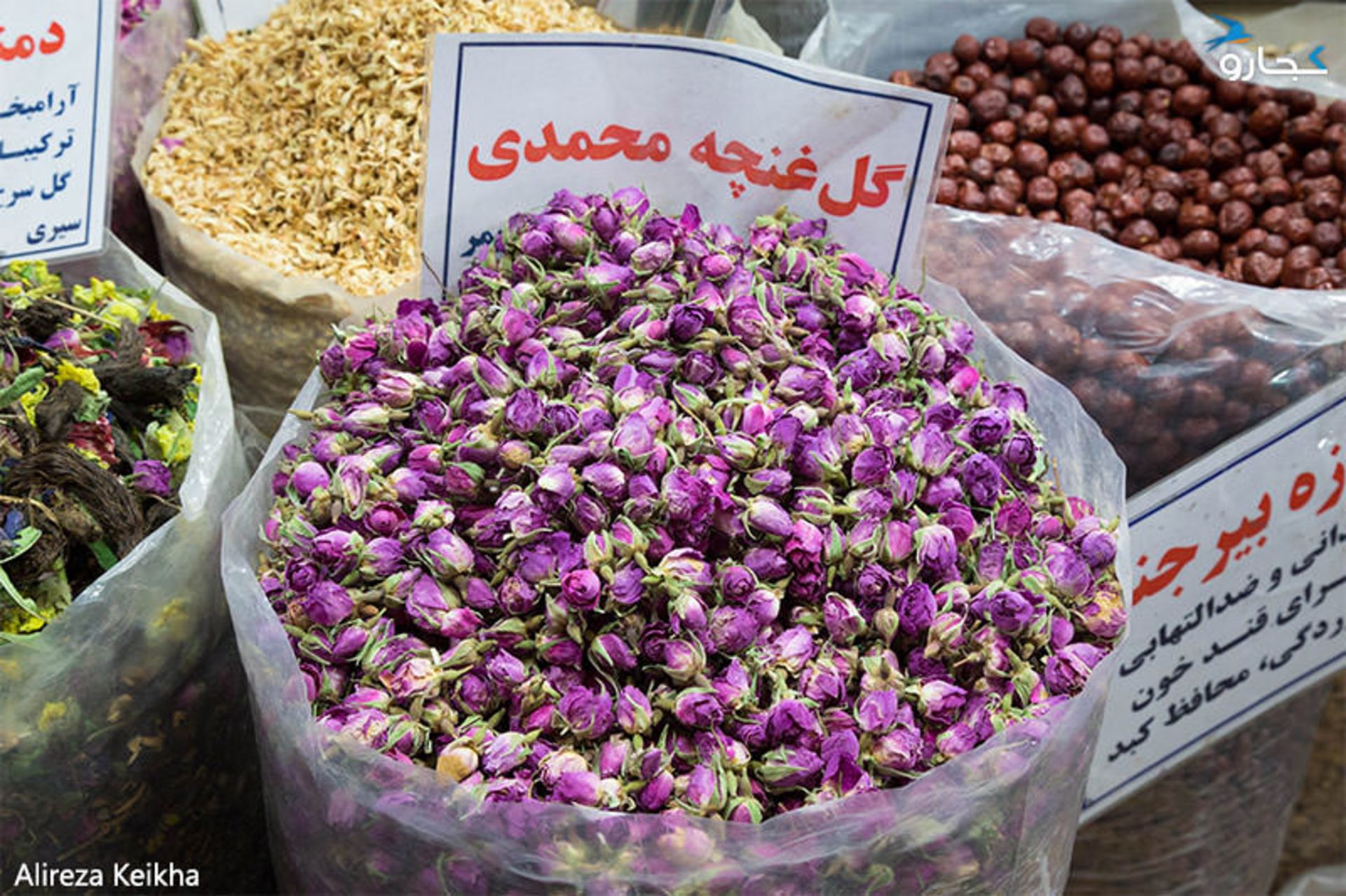 تجریش - شب یلدا