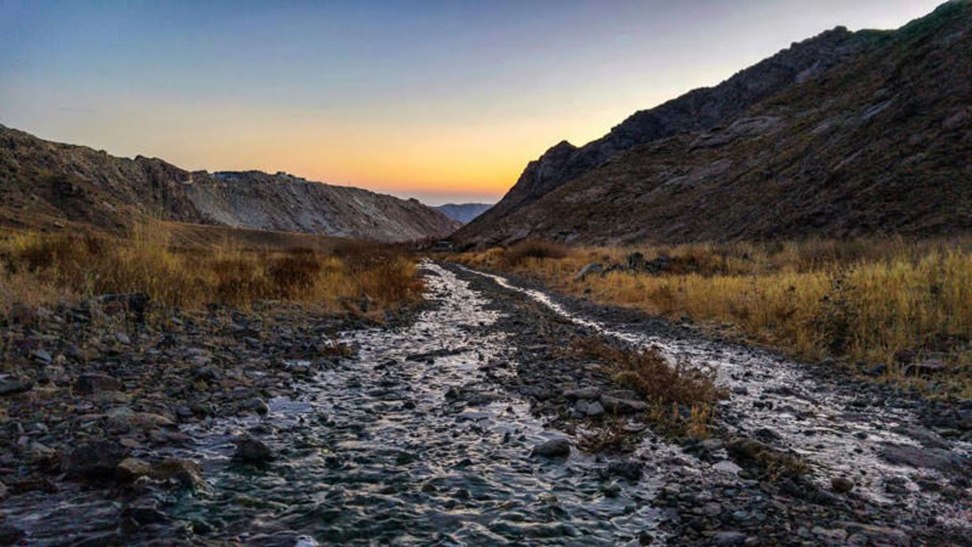 یلدای عکاسباشی
