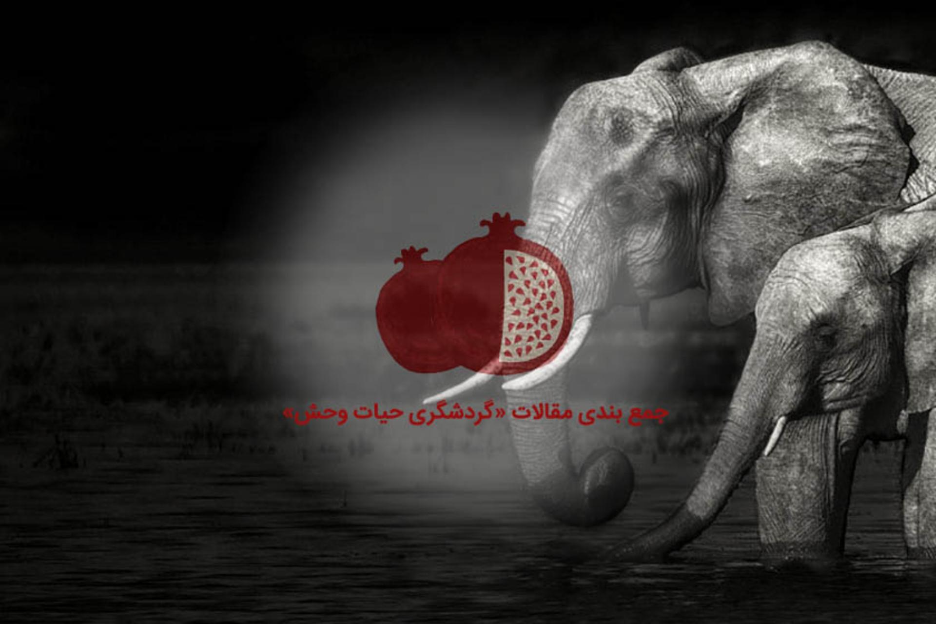 گردشگری حیات وحش