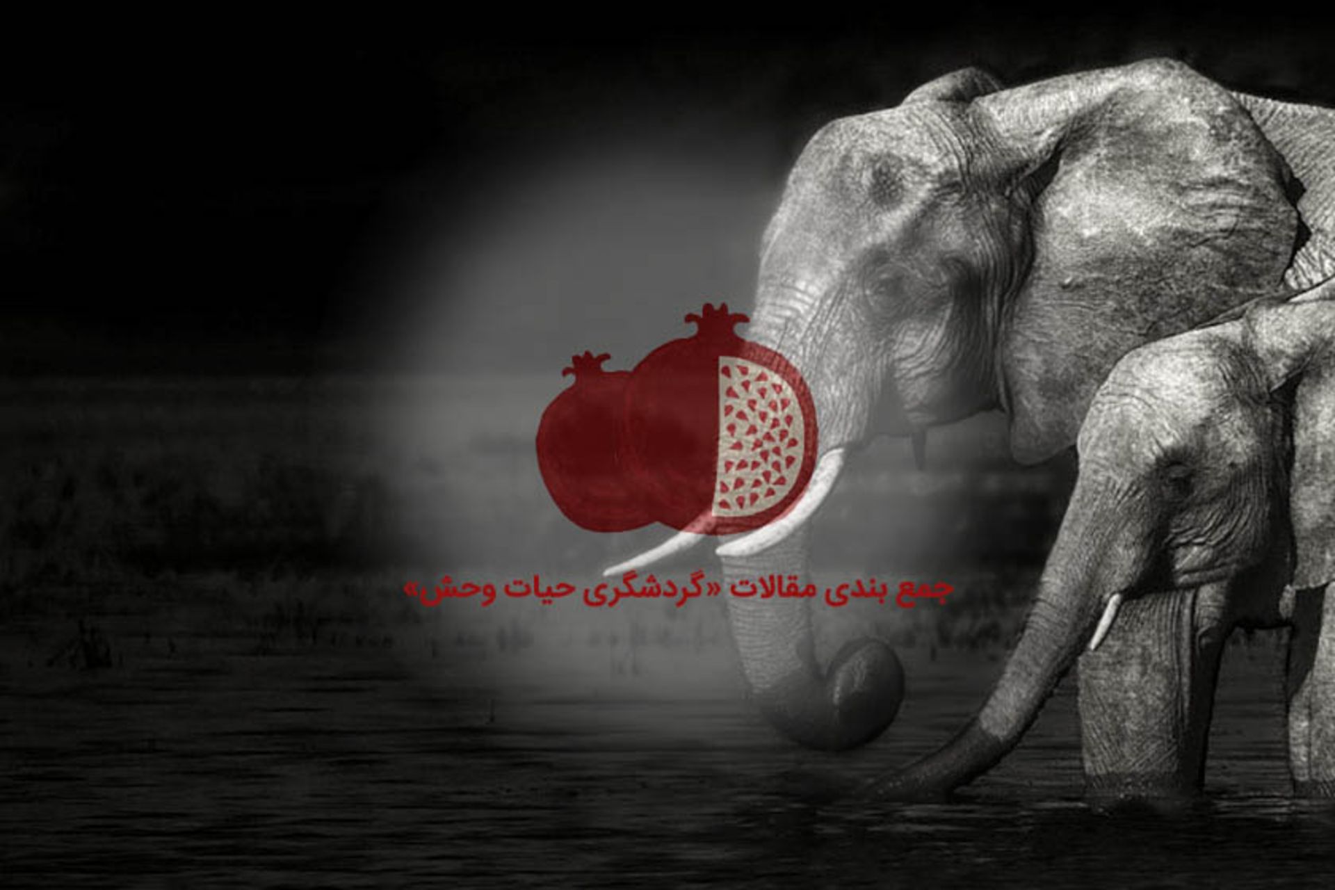گردشگری حیات وحش