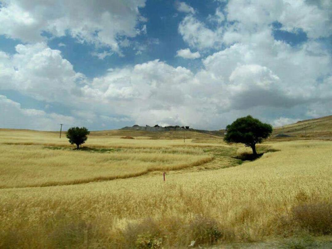 یلدای عکاسباشی