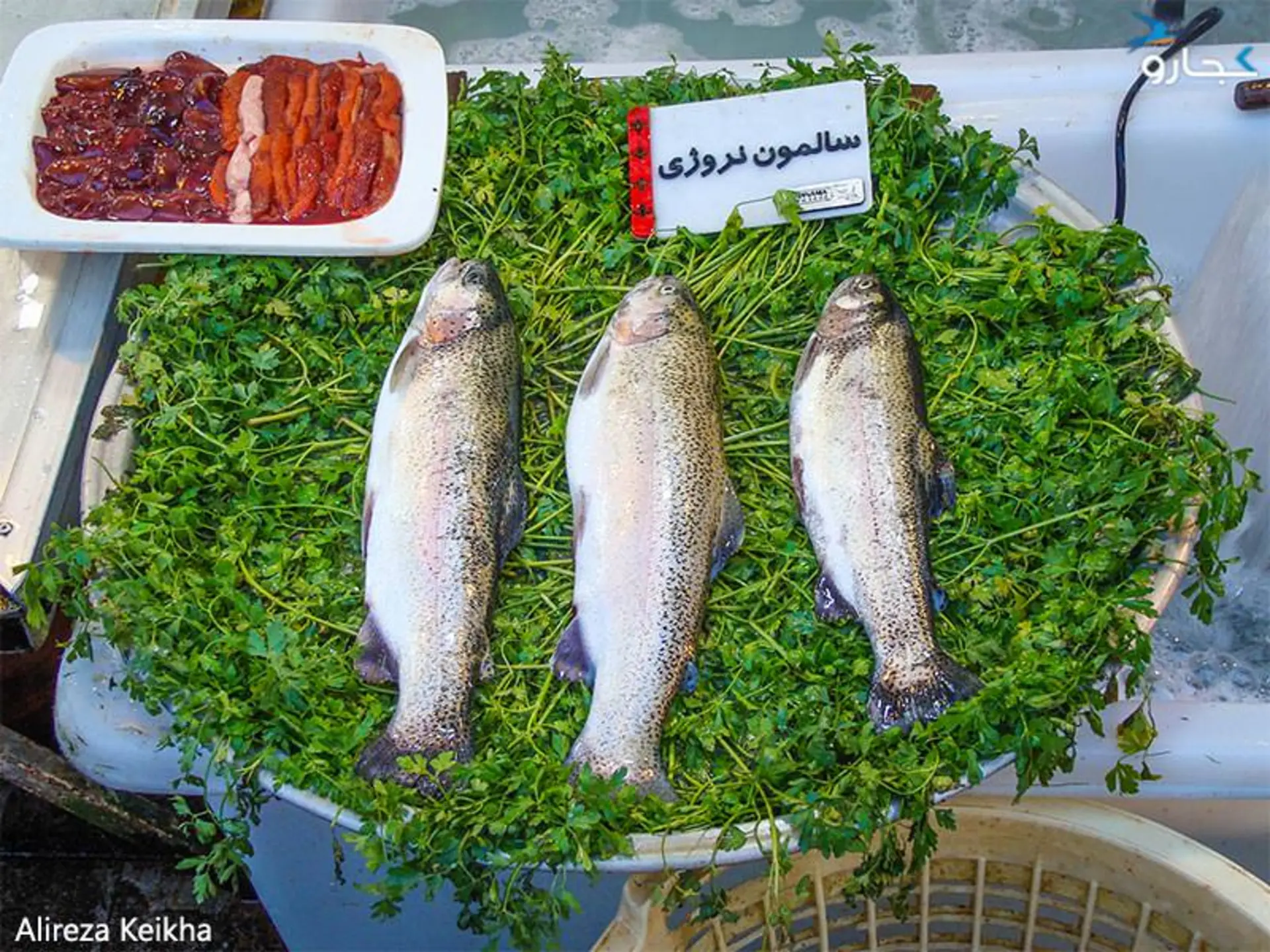 بازار رشت