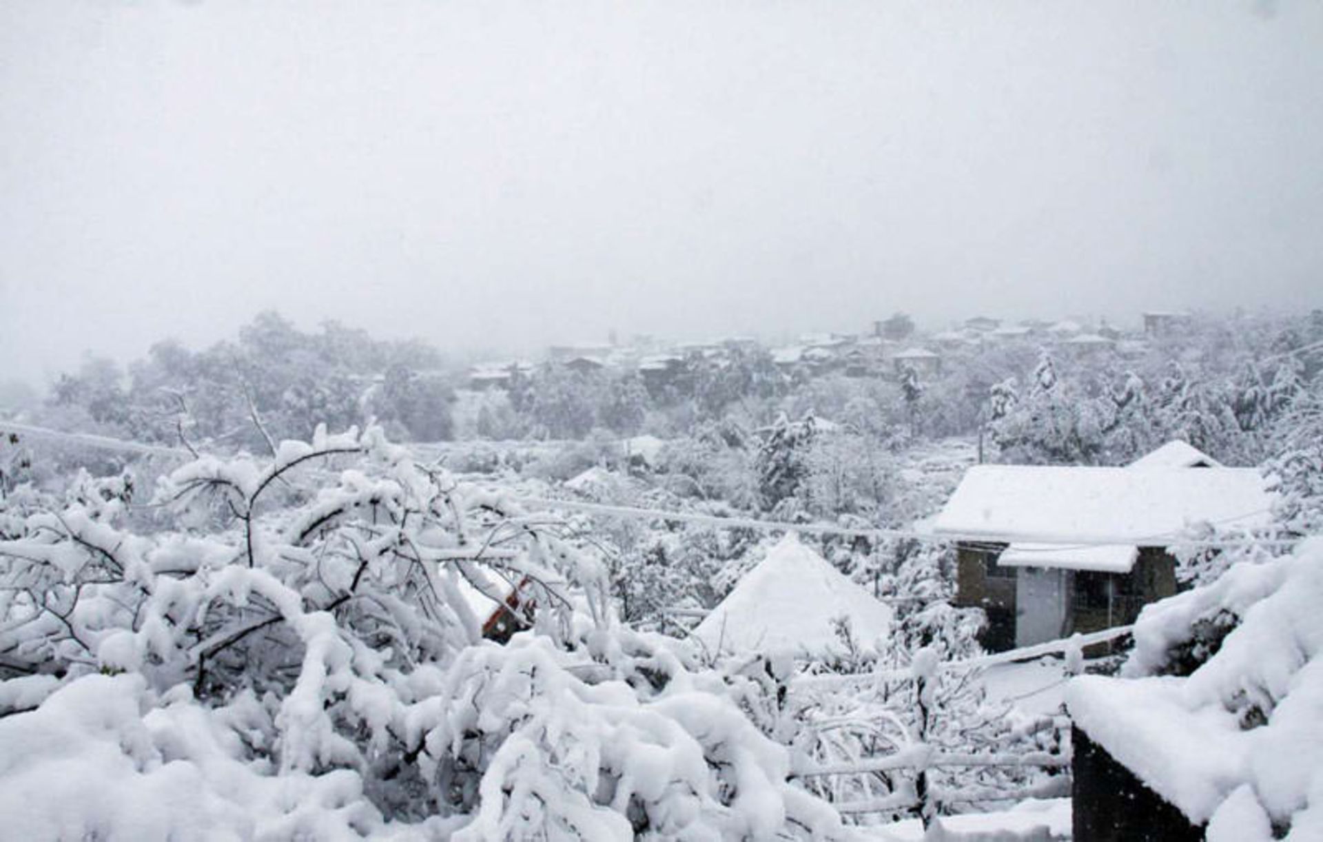 برف در مازندران