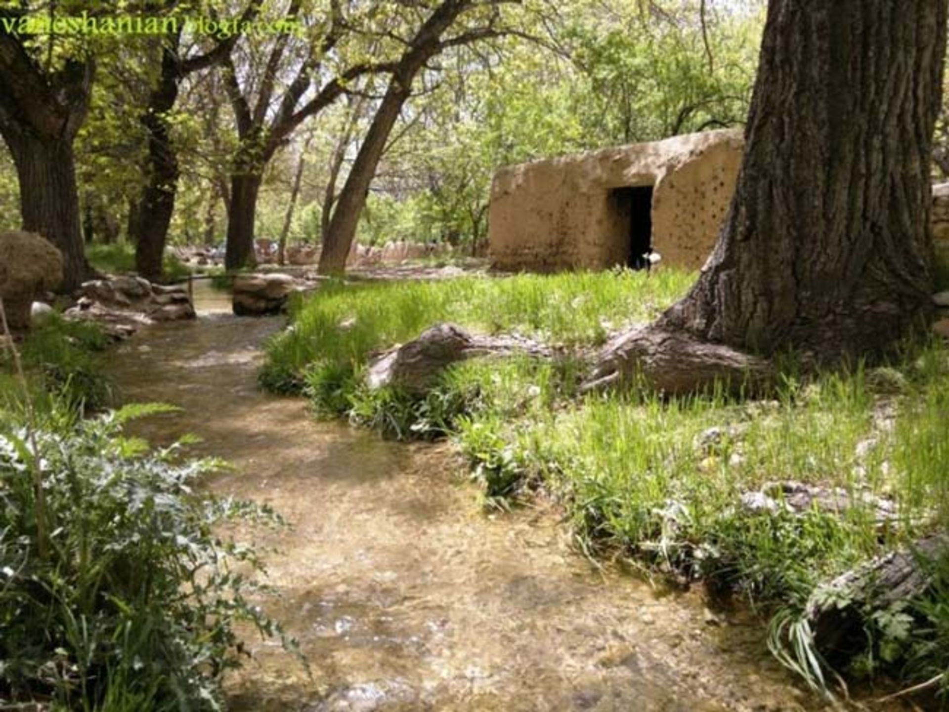 روستای وانشان