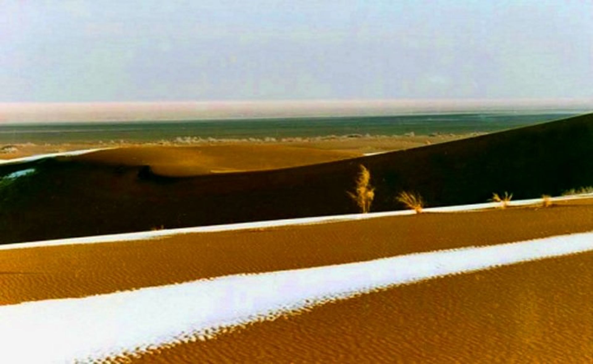 پارک ملی کویر