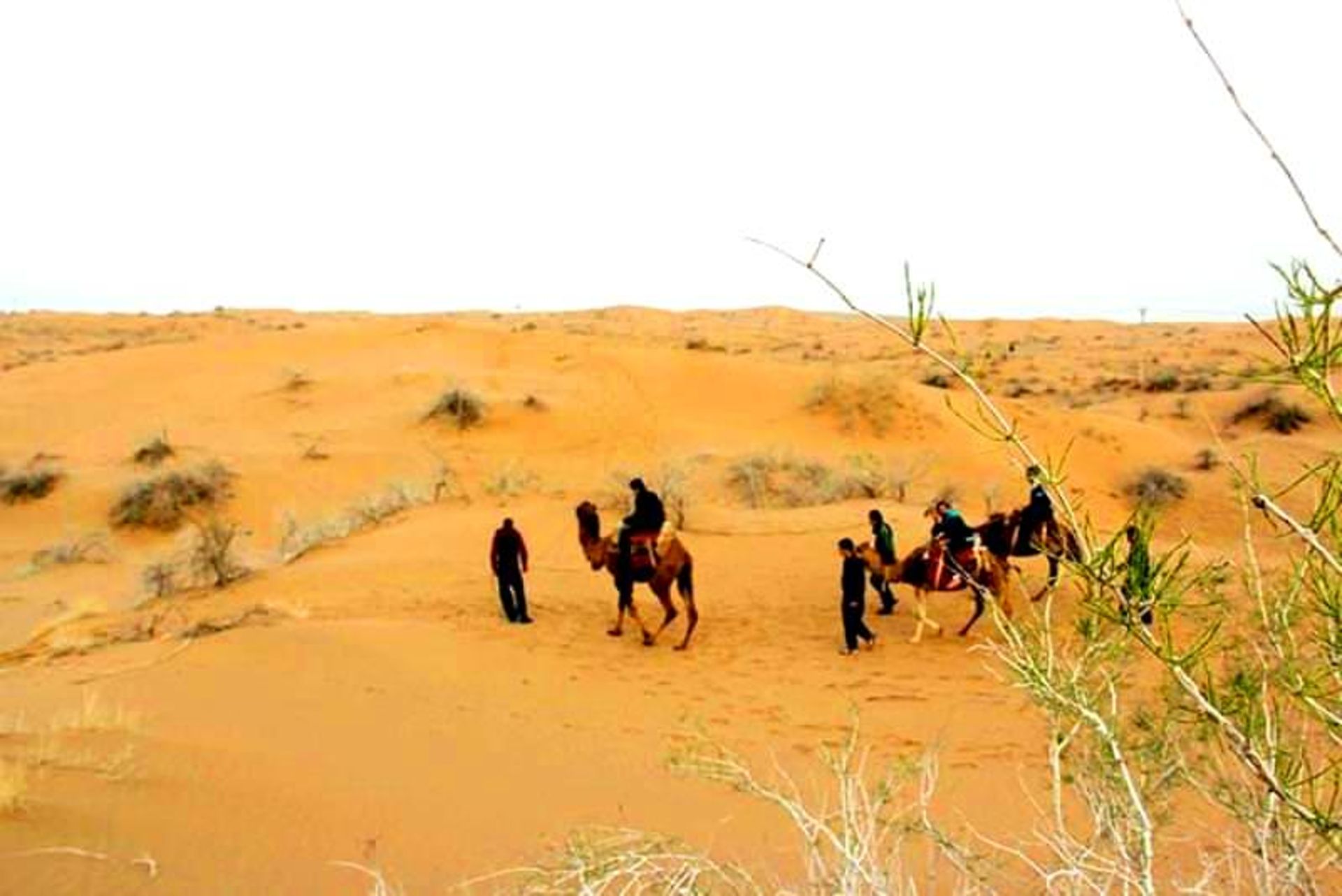 کویر ابوزید آباد
